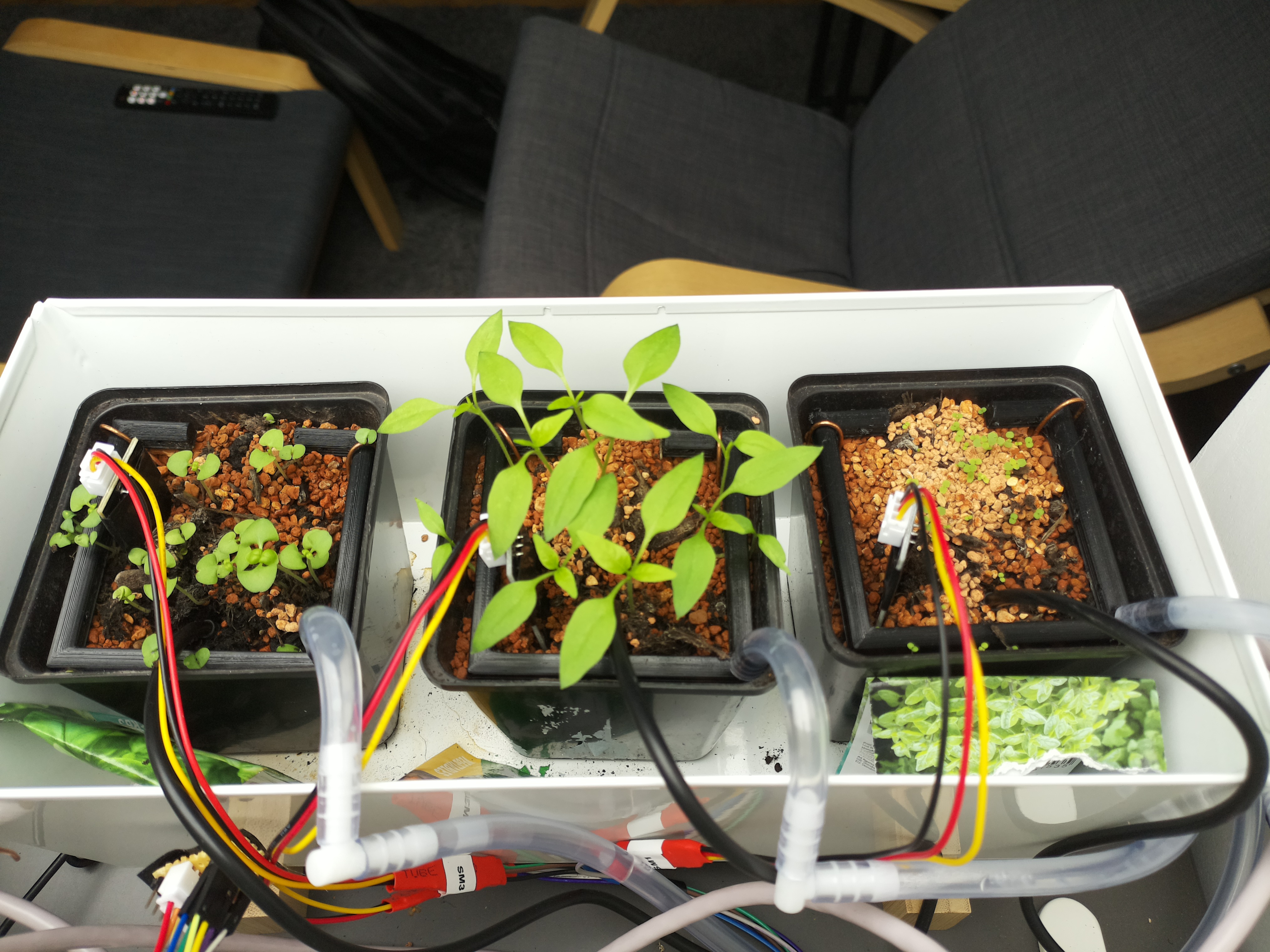 Timelapse image for March 16, 2026