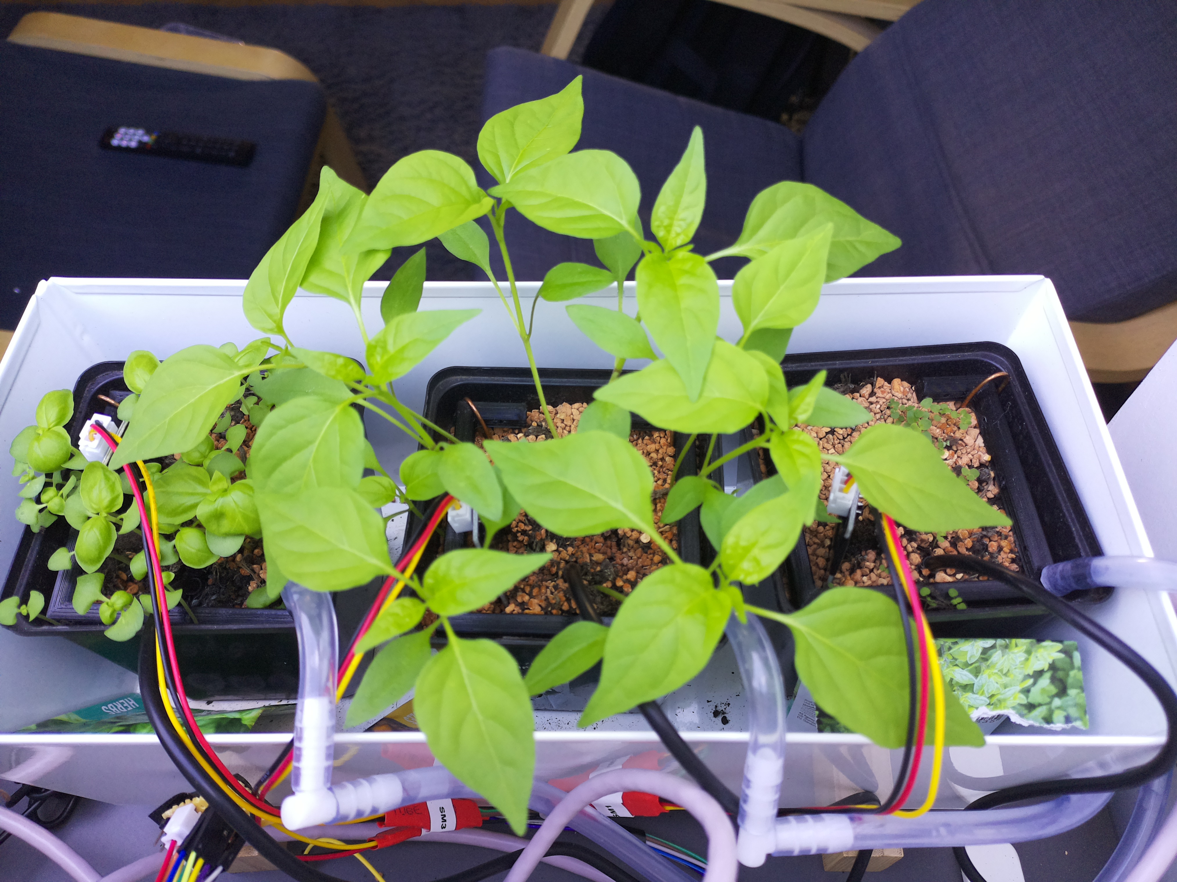 Timelapse image for March 28, 2026