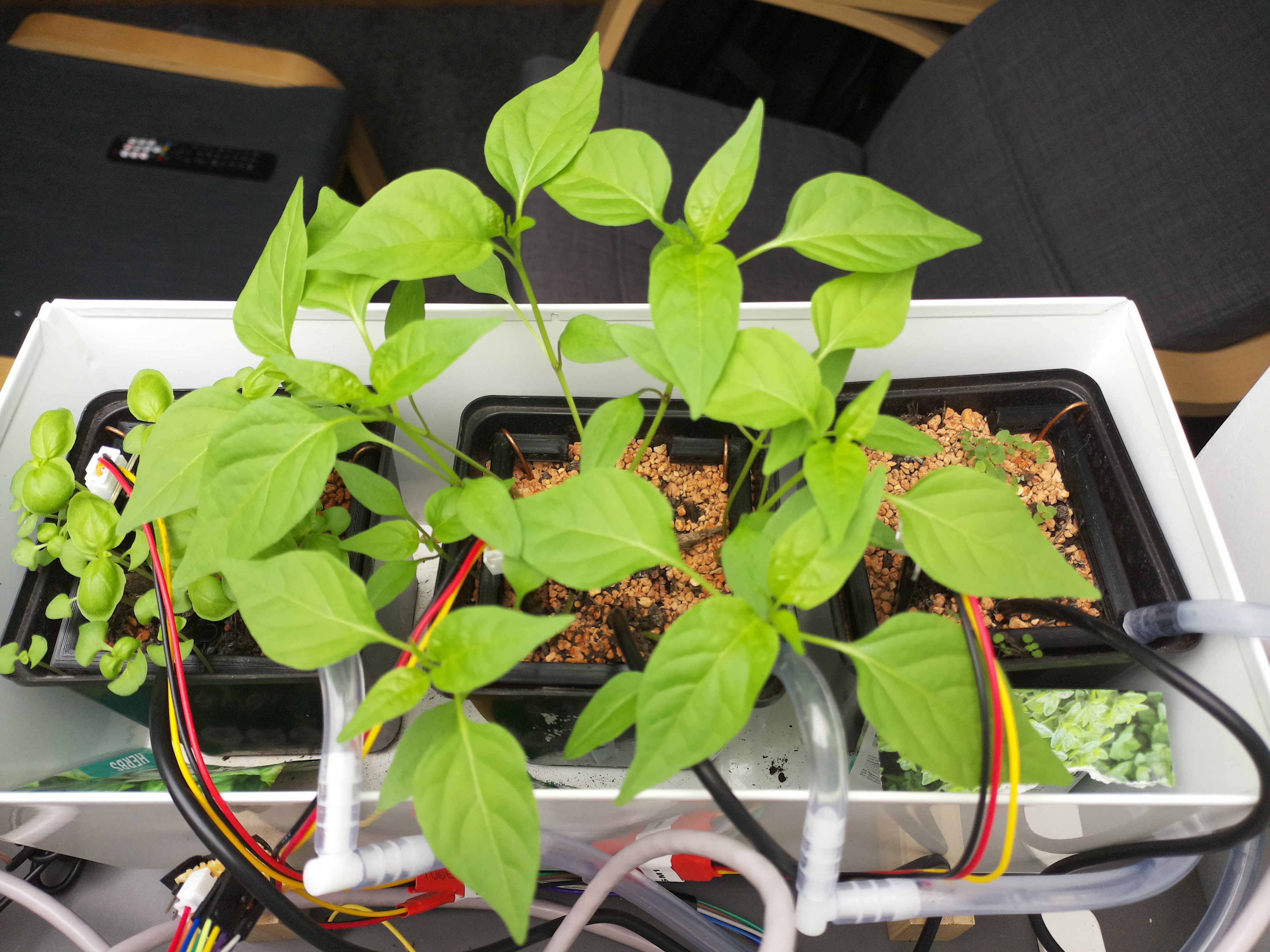 Timelapse image for March 29, 2026