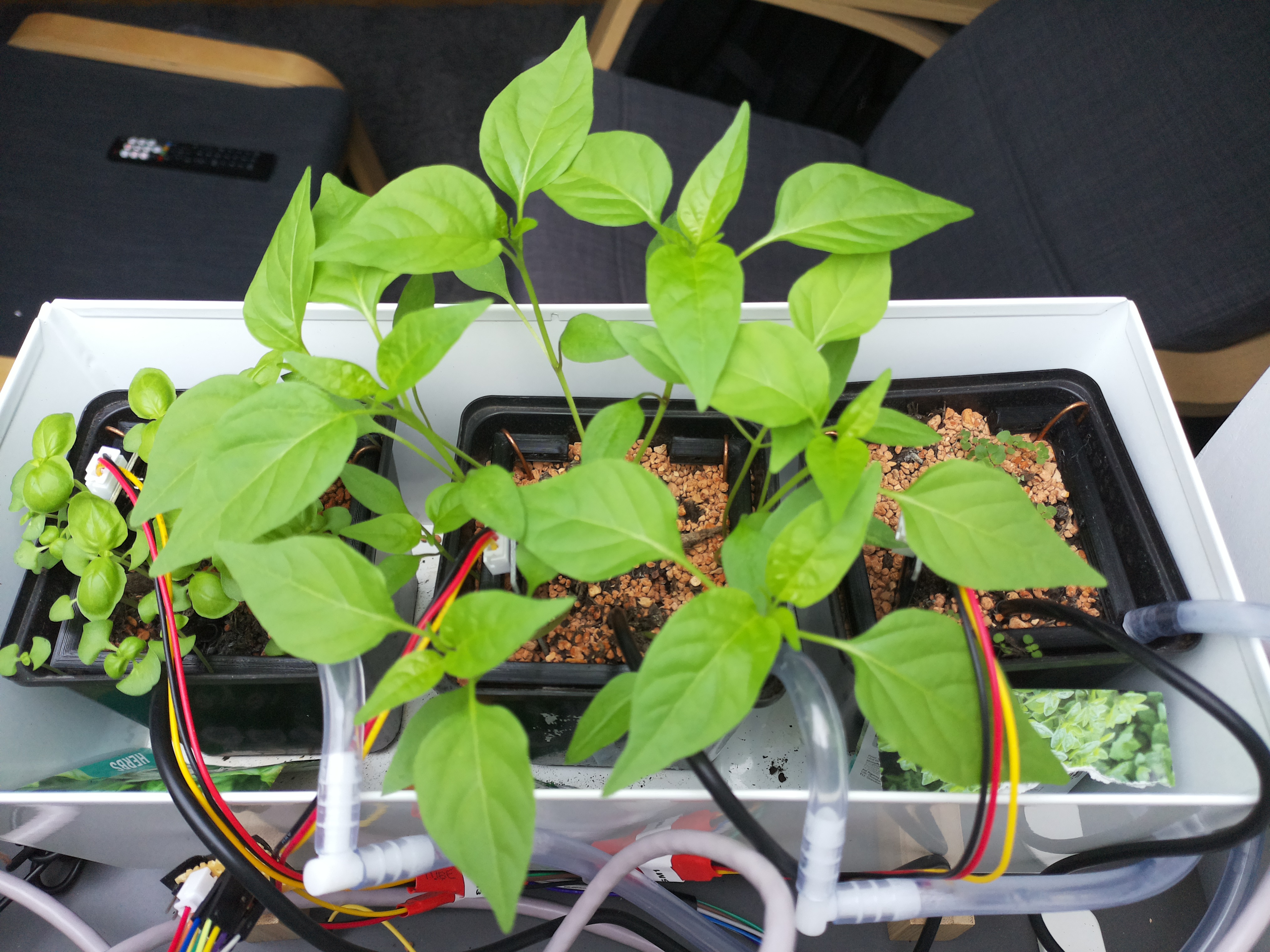 Timelapse image for March 29, 2026