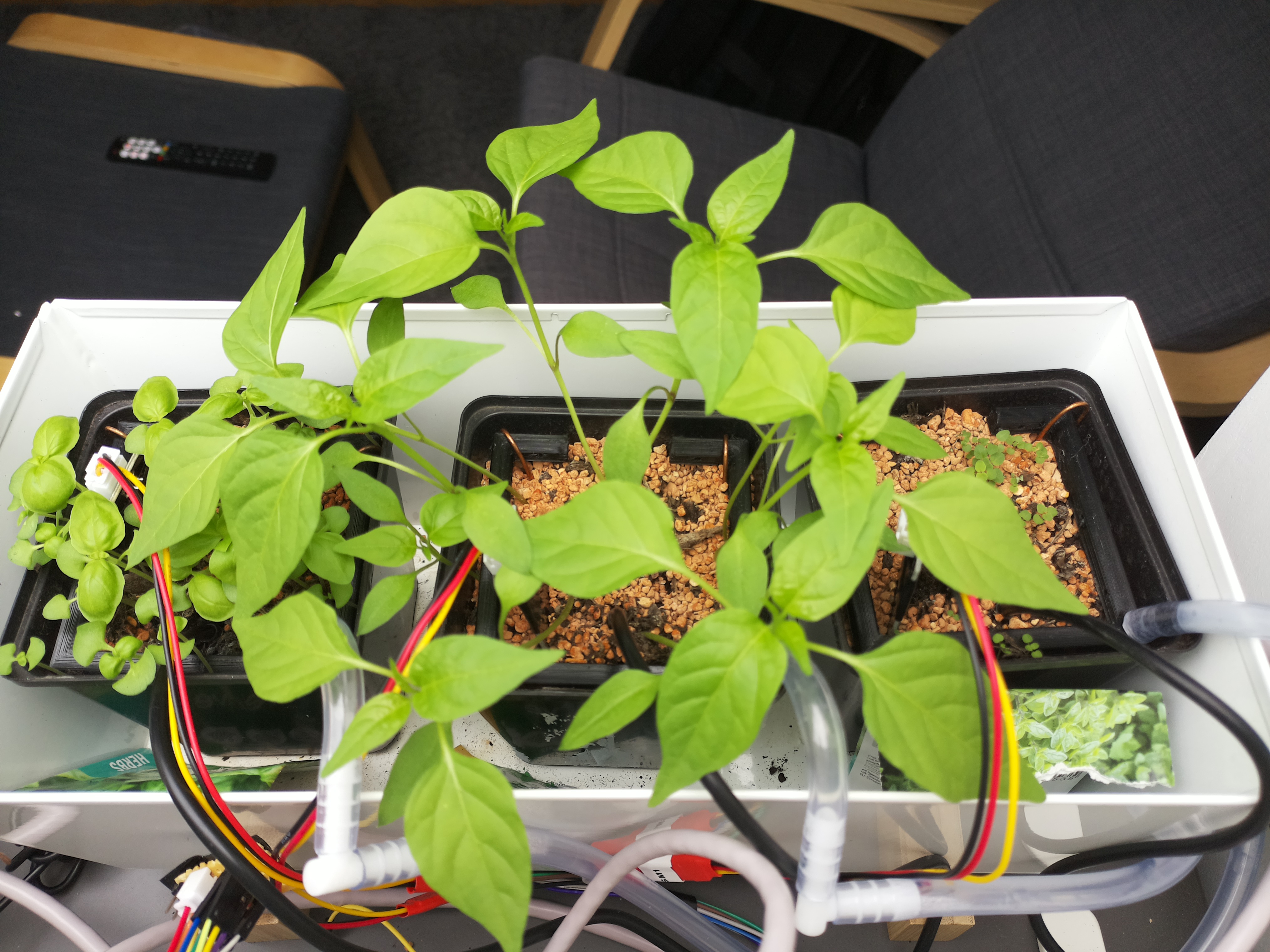 Timelapse image for March 29, 2026