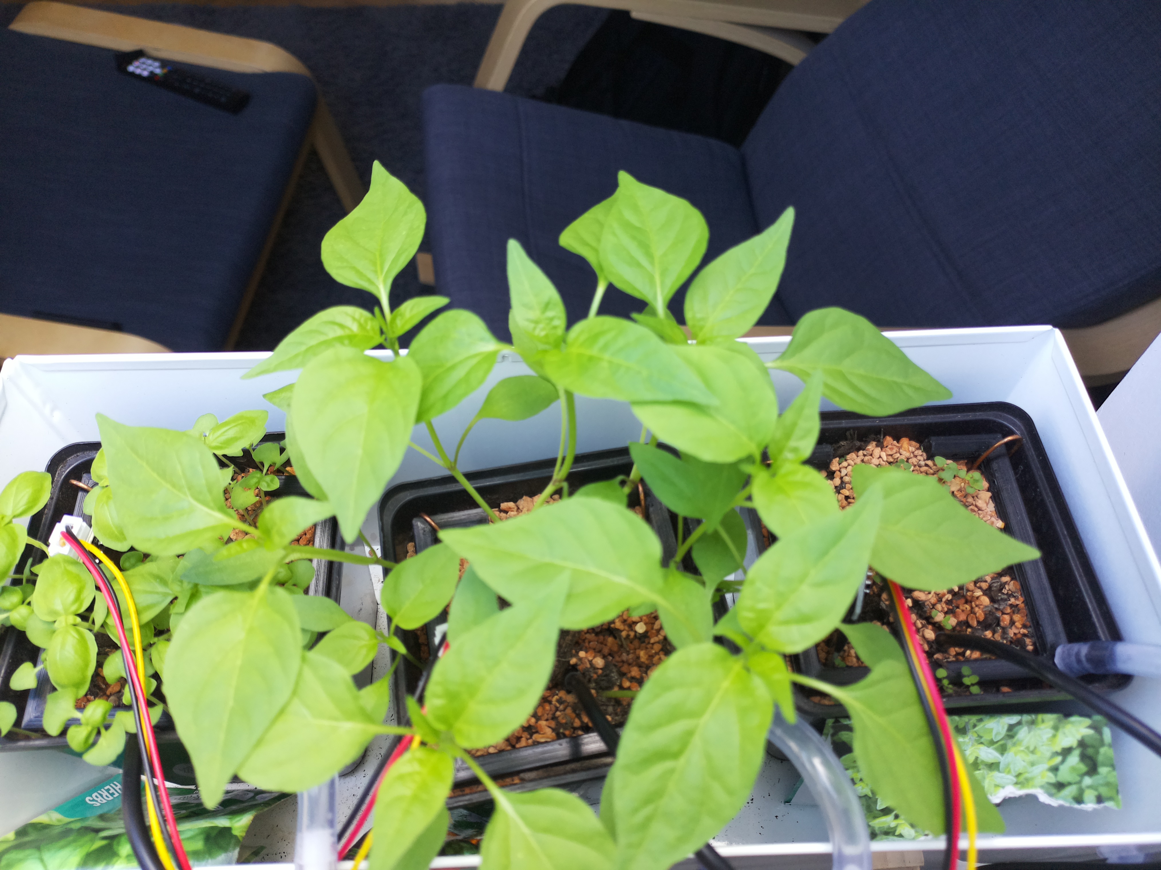 Timelapse image for March 30, 2026