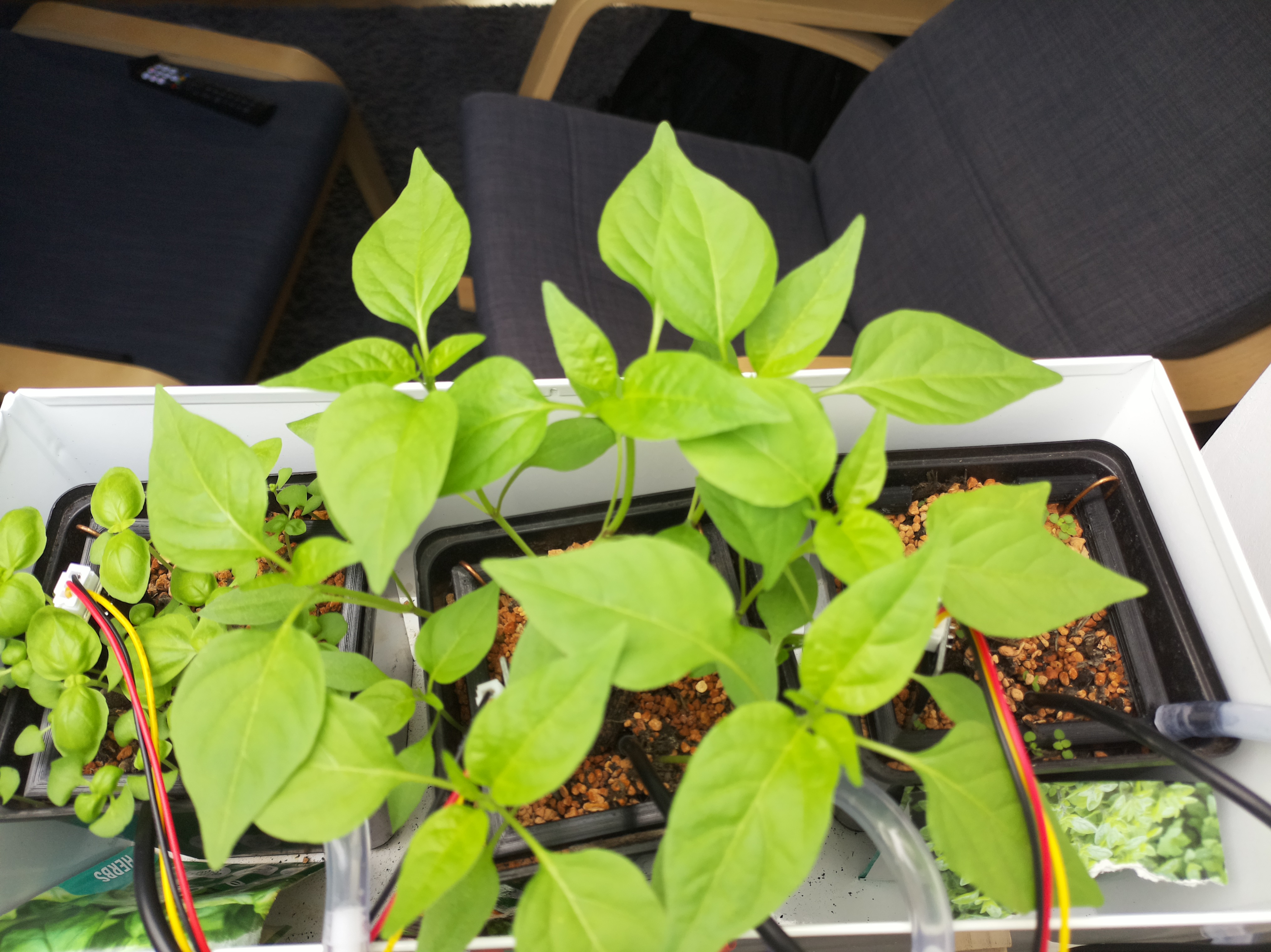 Timelapse image for March 30, 2026