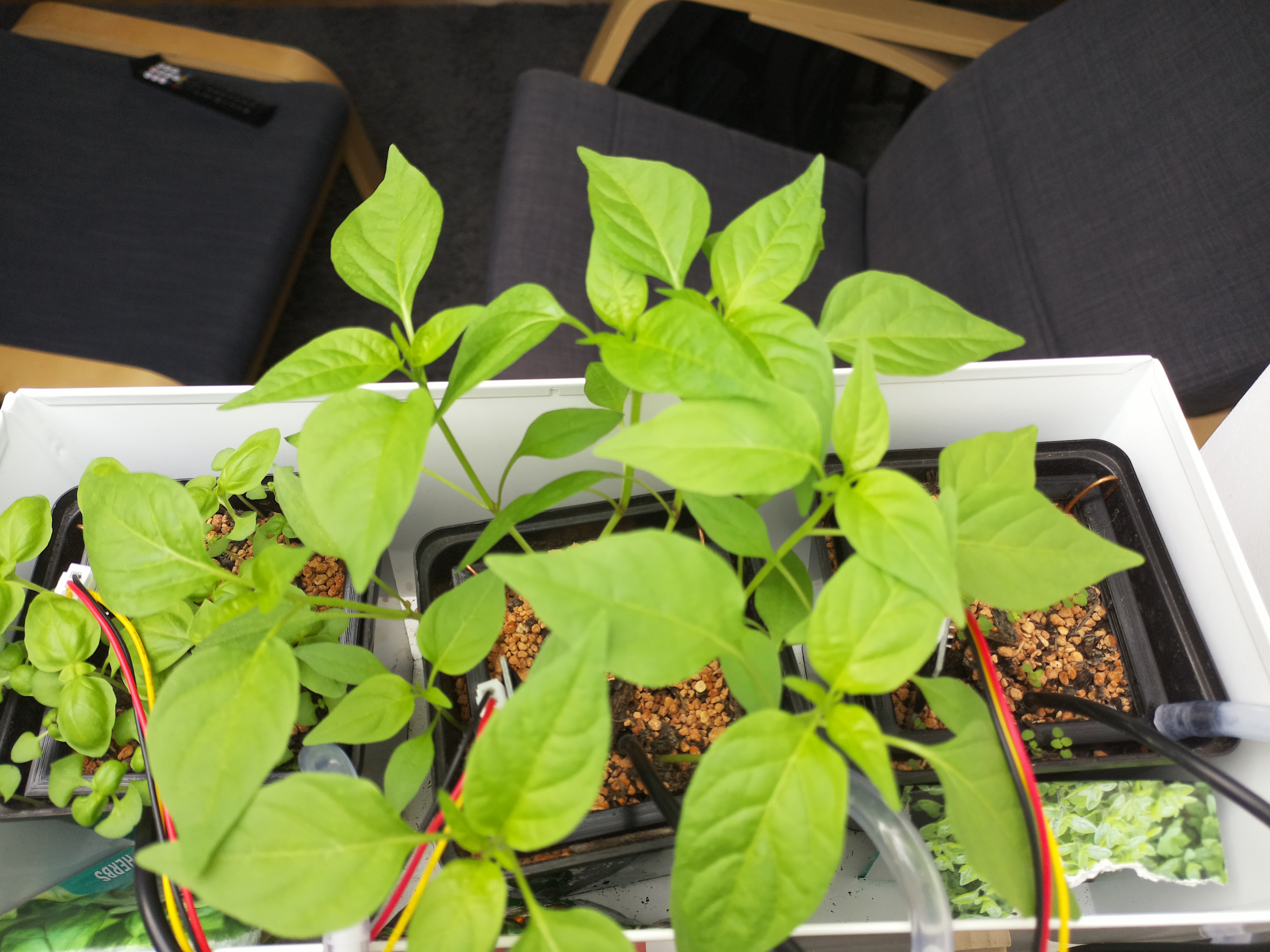 Timelapse image for March 31, 2026