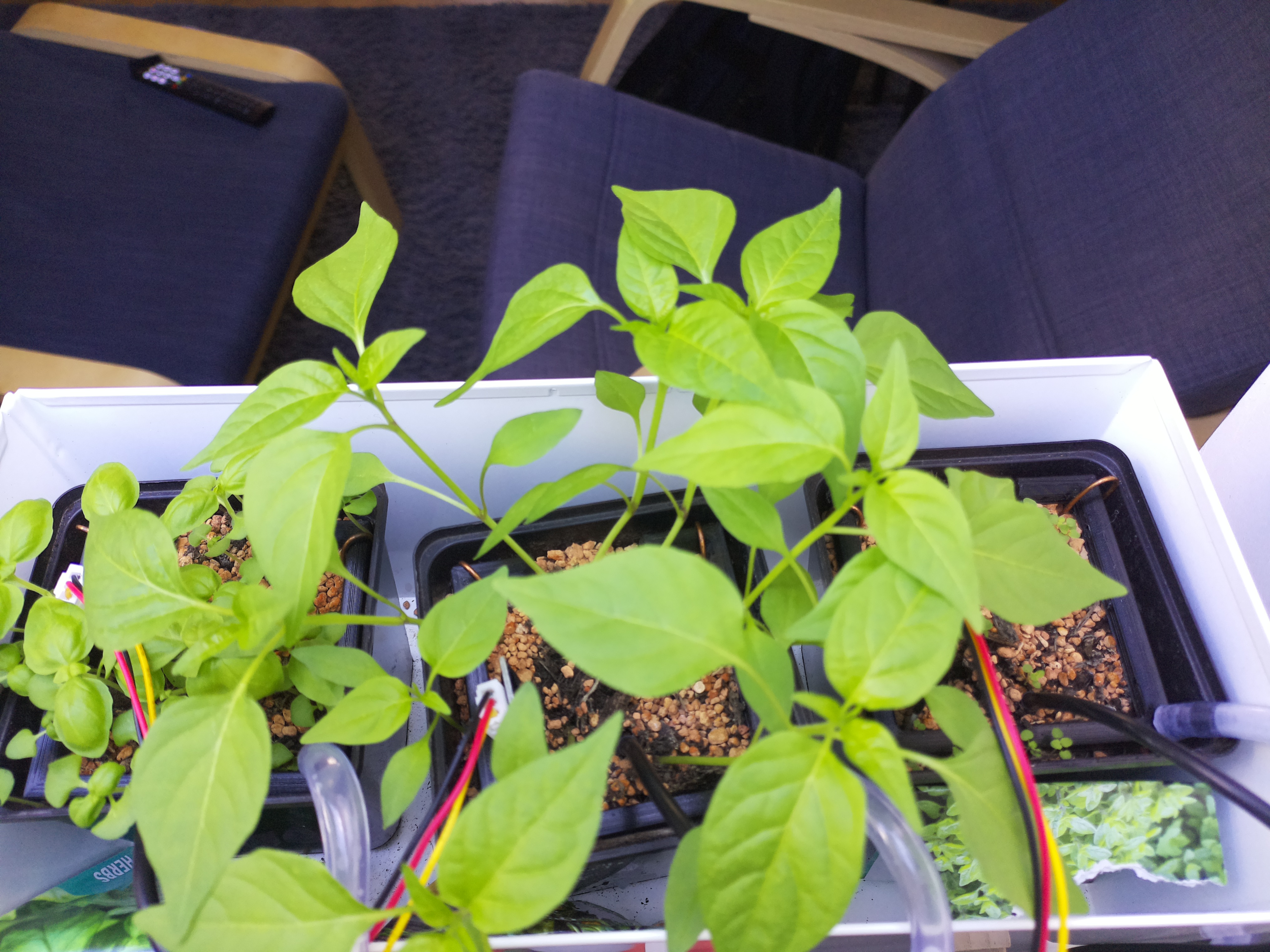 Timelapse image for March 31, 2026