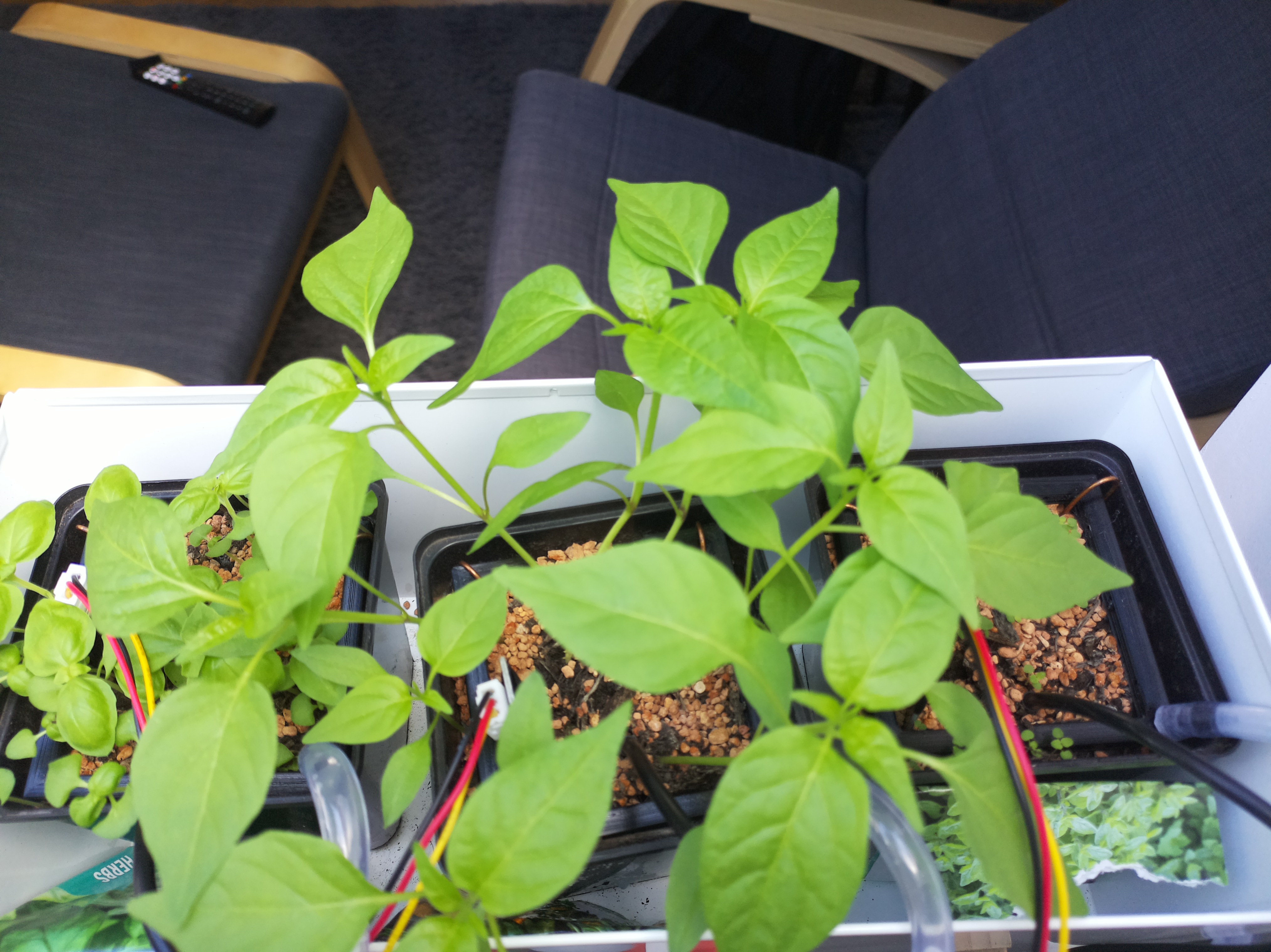 Timelapse image for March 31, 2026