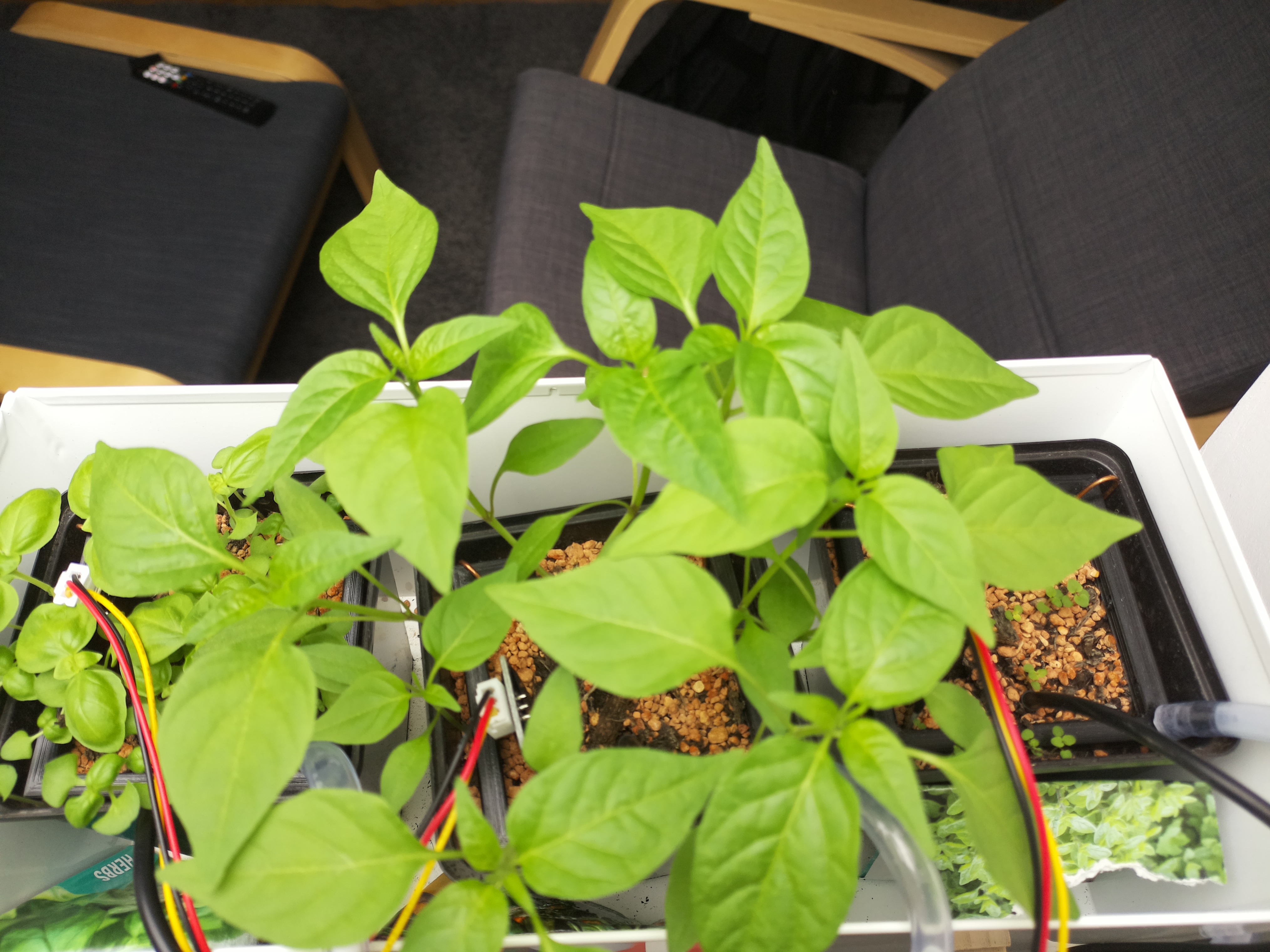 Timelapse image for April 1, 2026