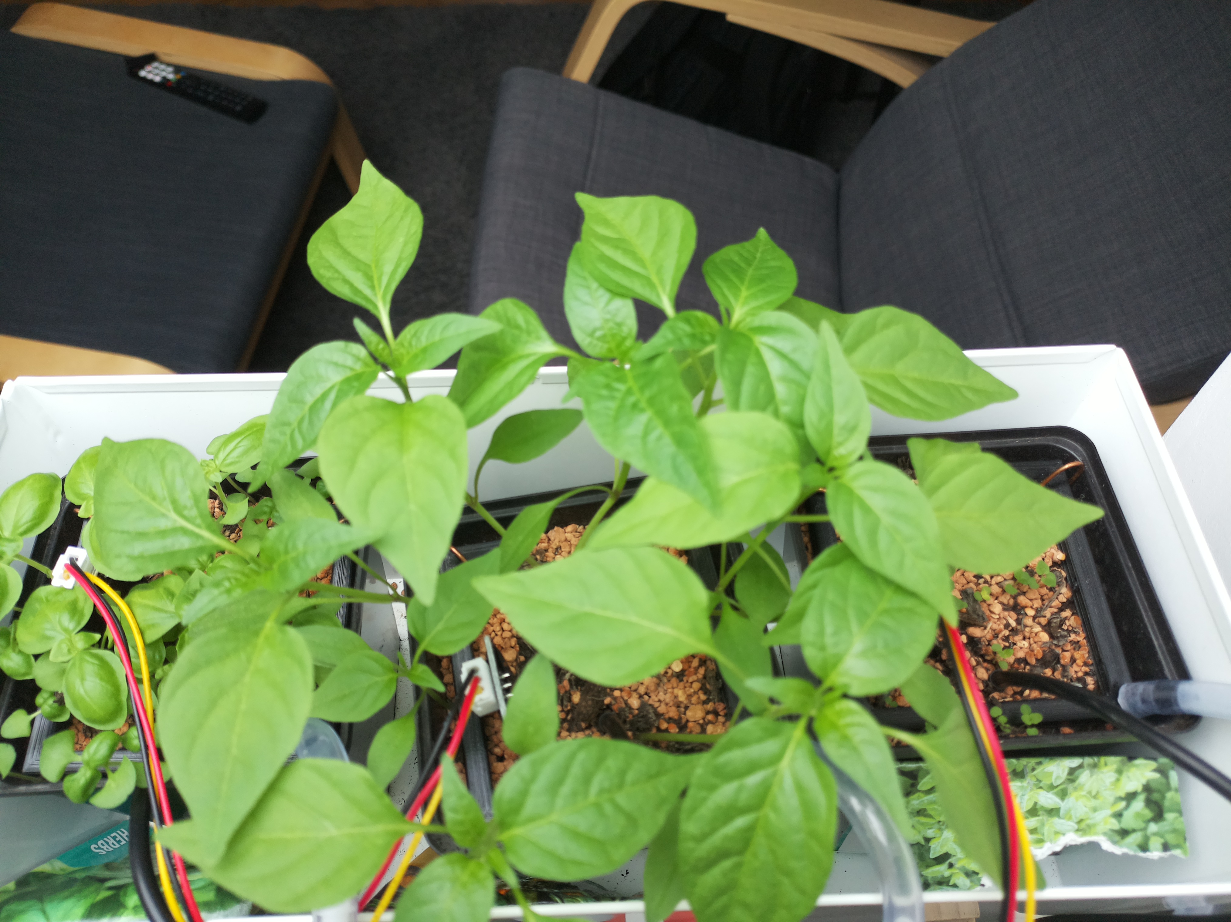 Timelapse image for April 1, 2026