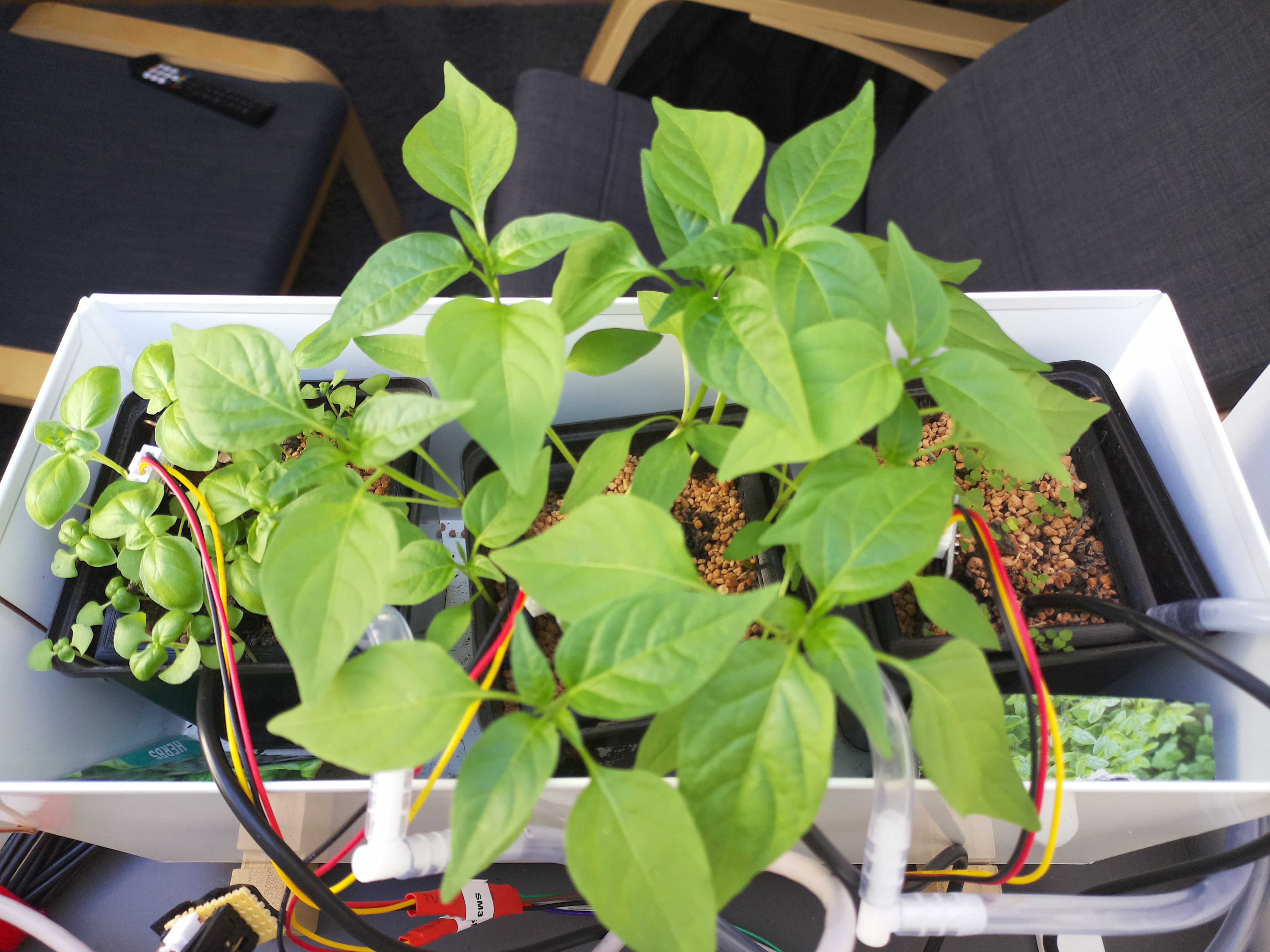 Timelapse image for April 2, 2026