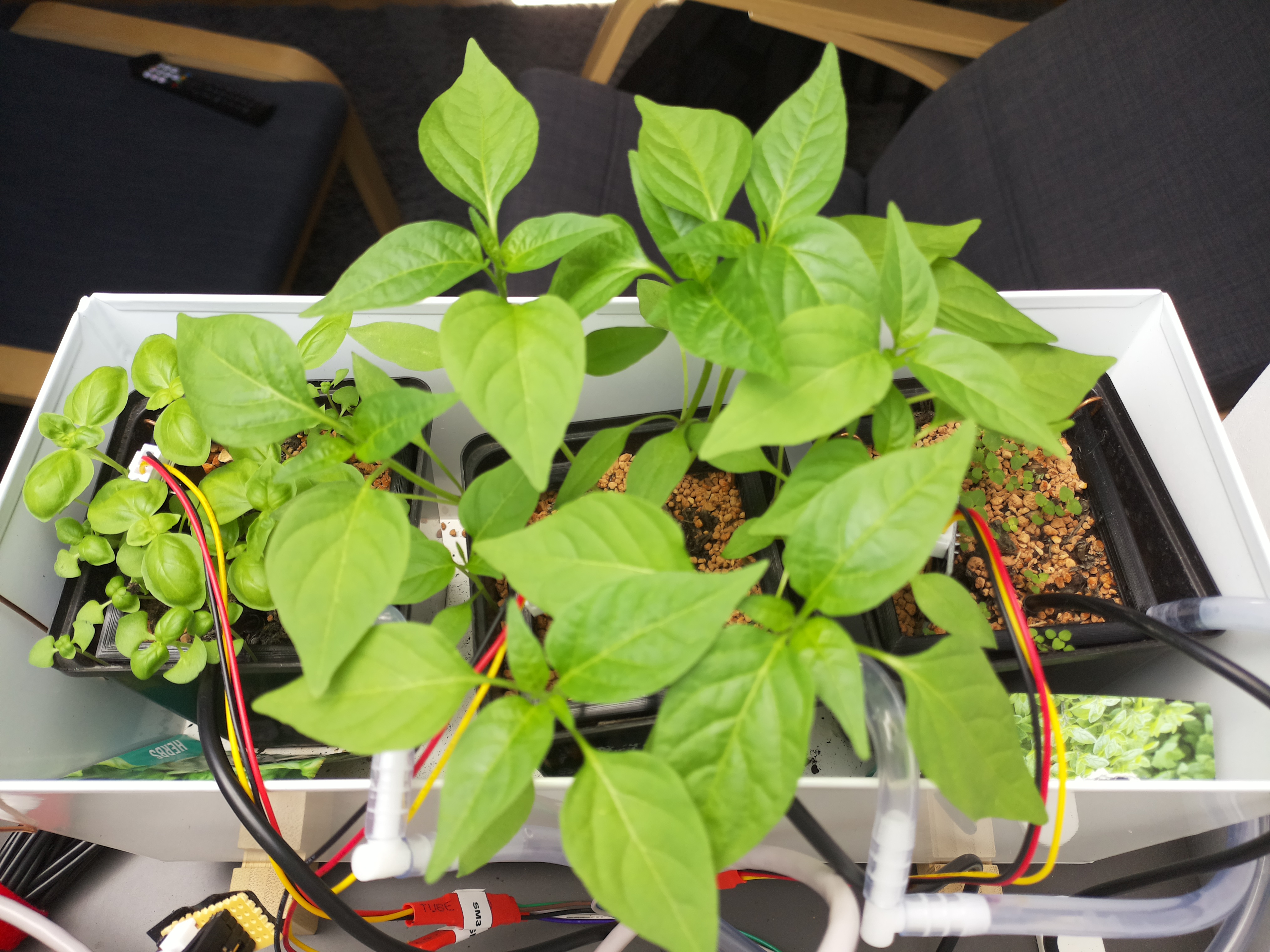 Timelapse image for April 2, 2026