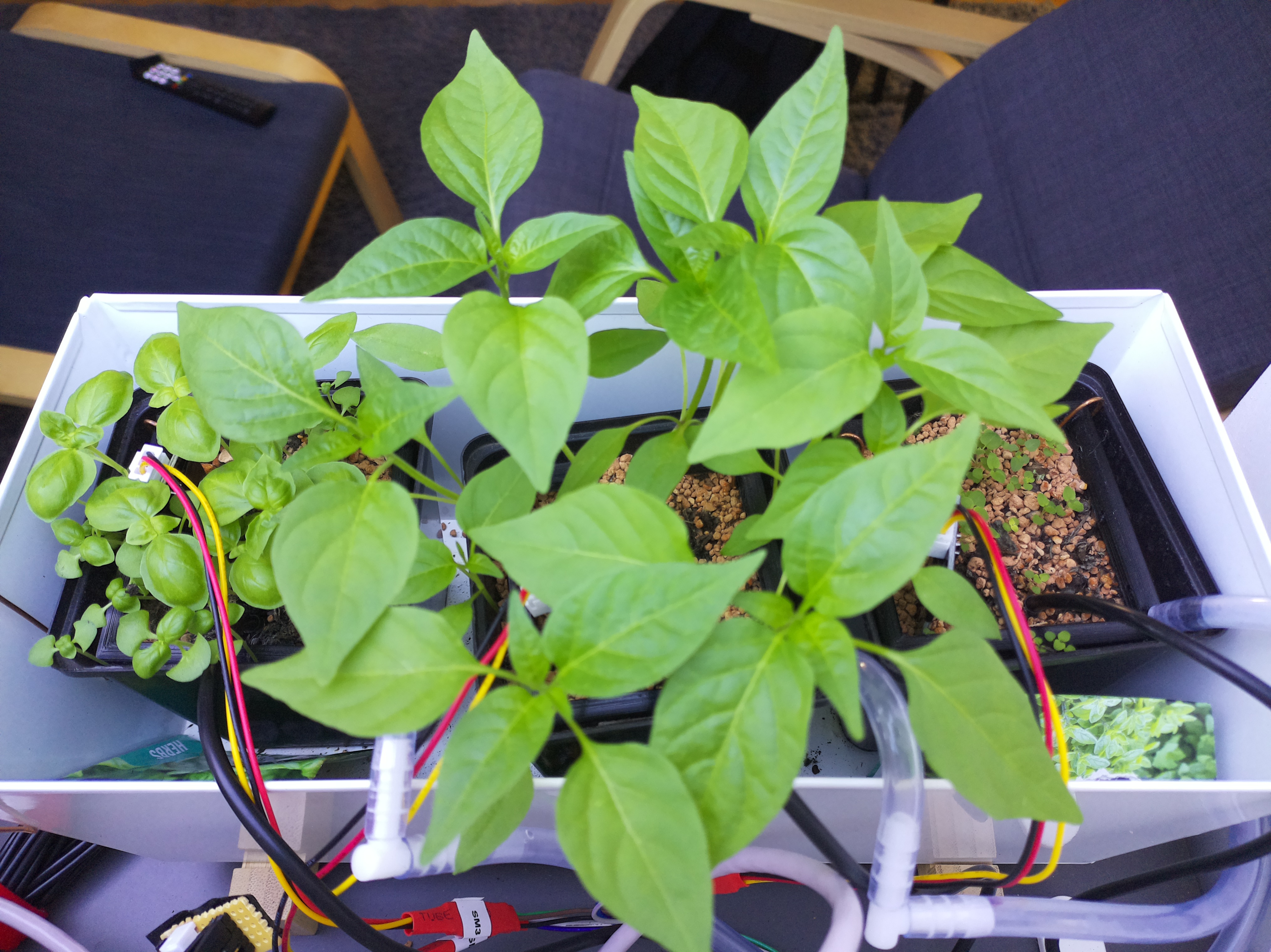 Timelapse image for April 2, 2026