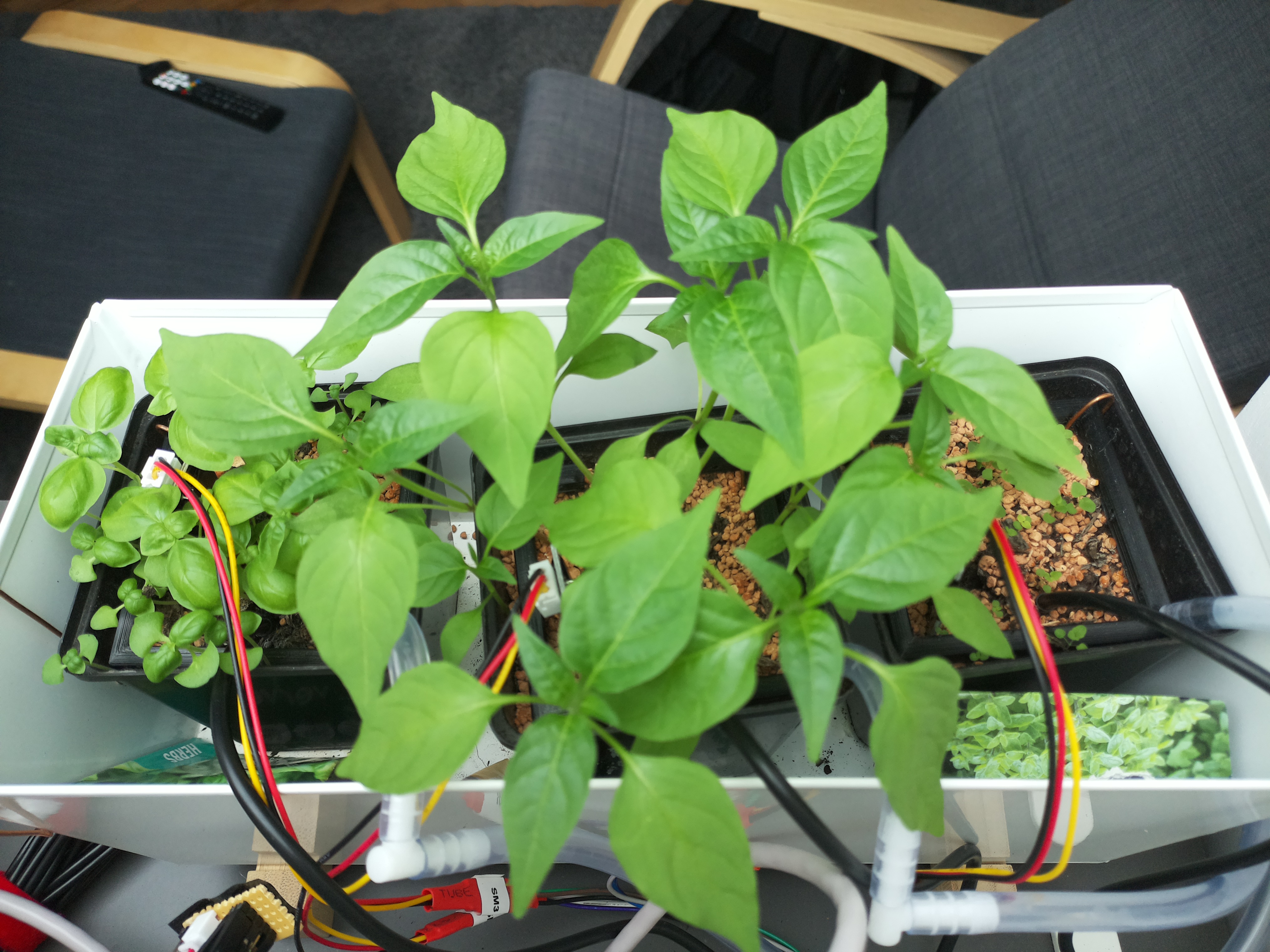 Timelapse image for April 3, 2026