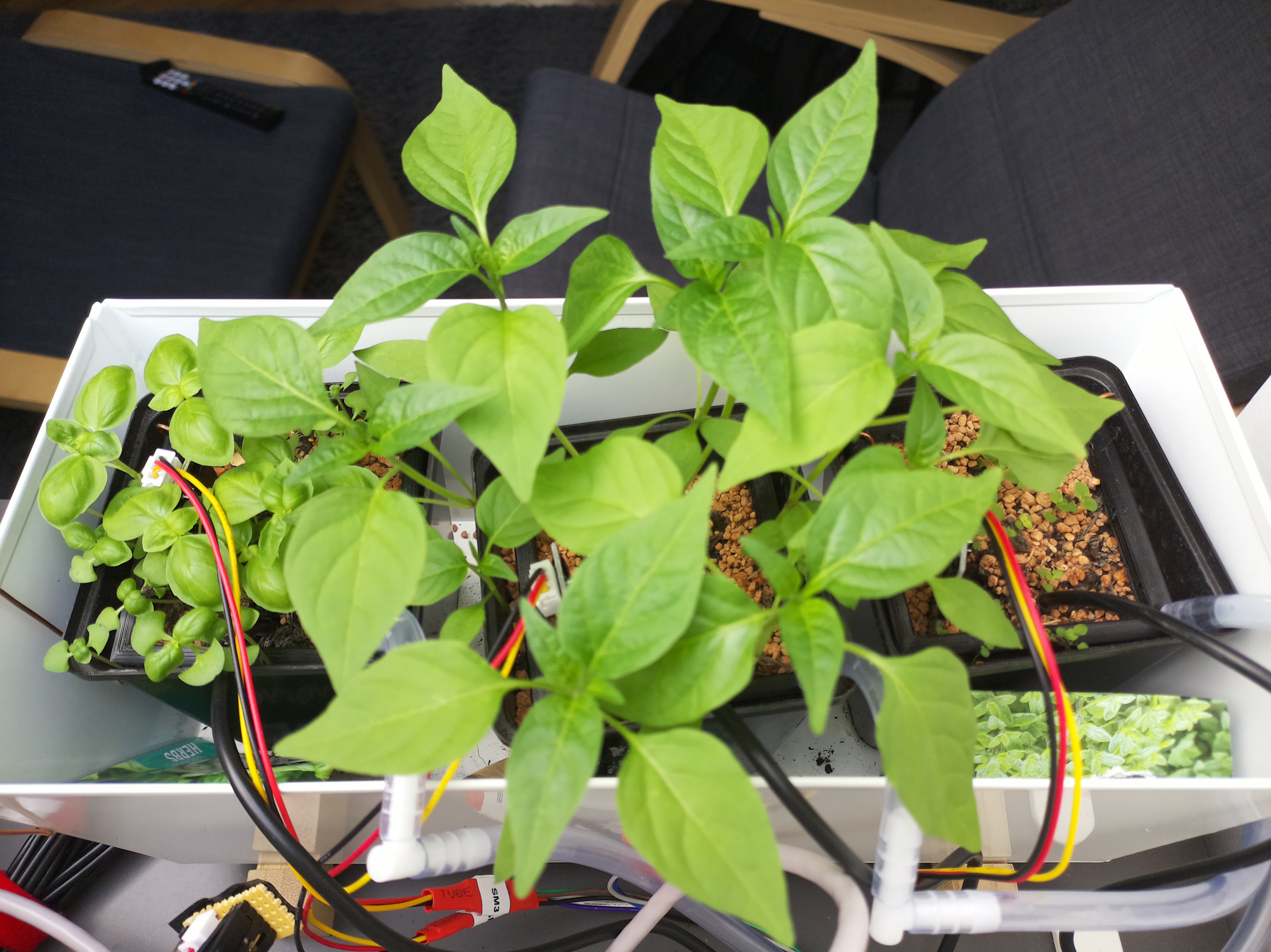 Timelapse image for April 3, 2026