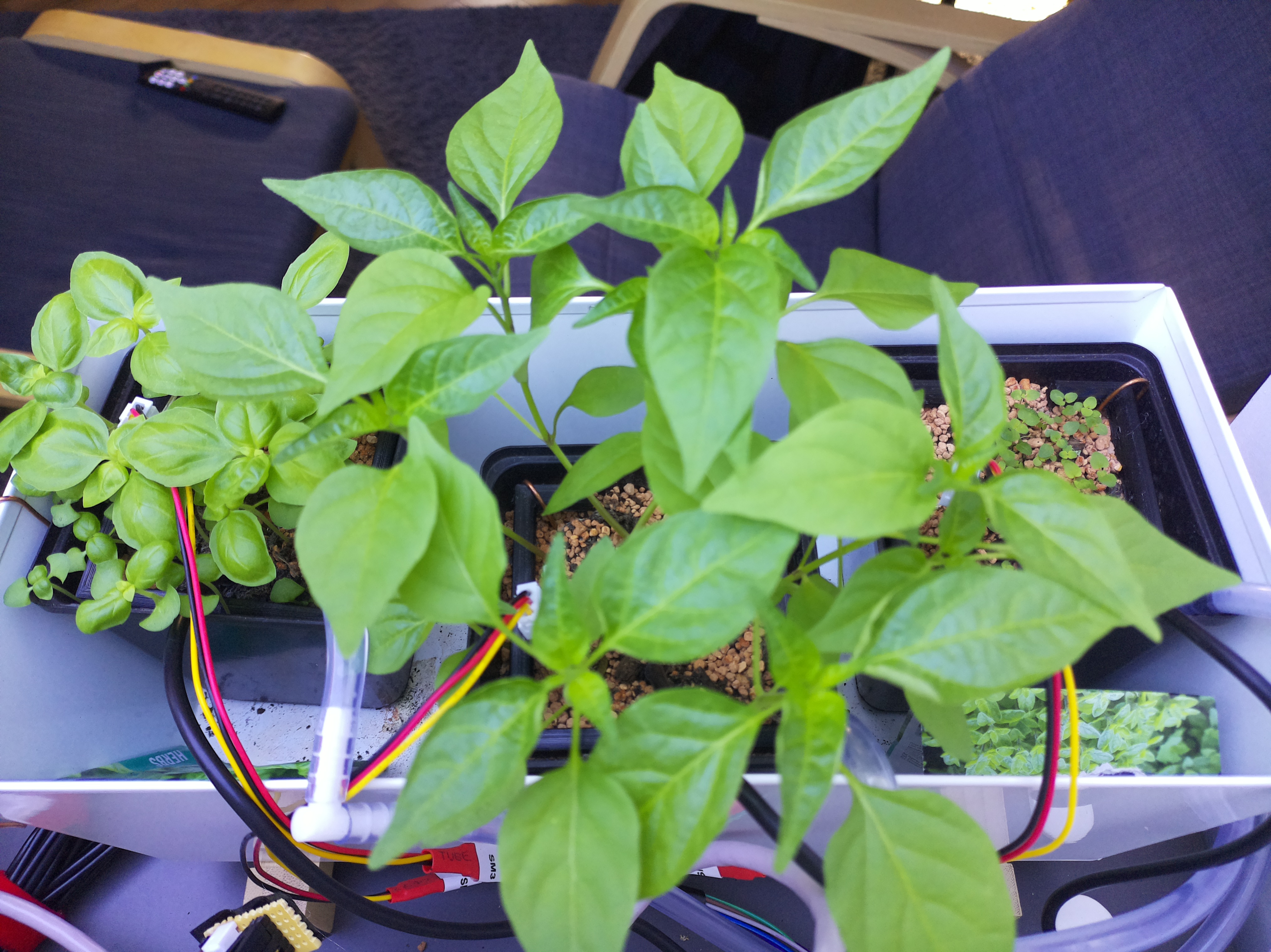 Timelapse image for April 5, 2026