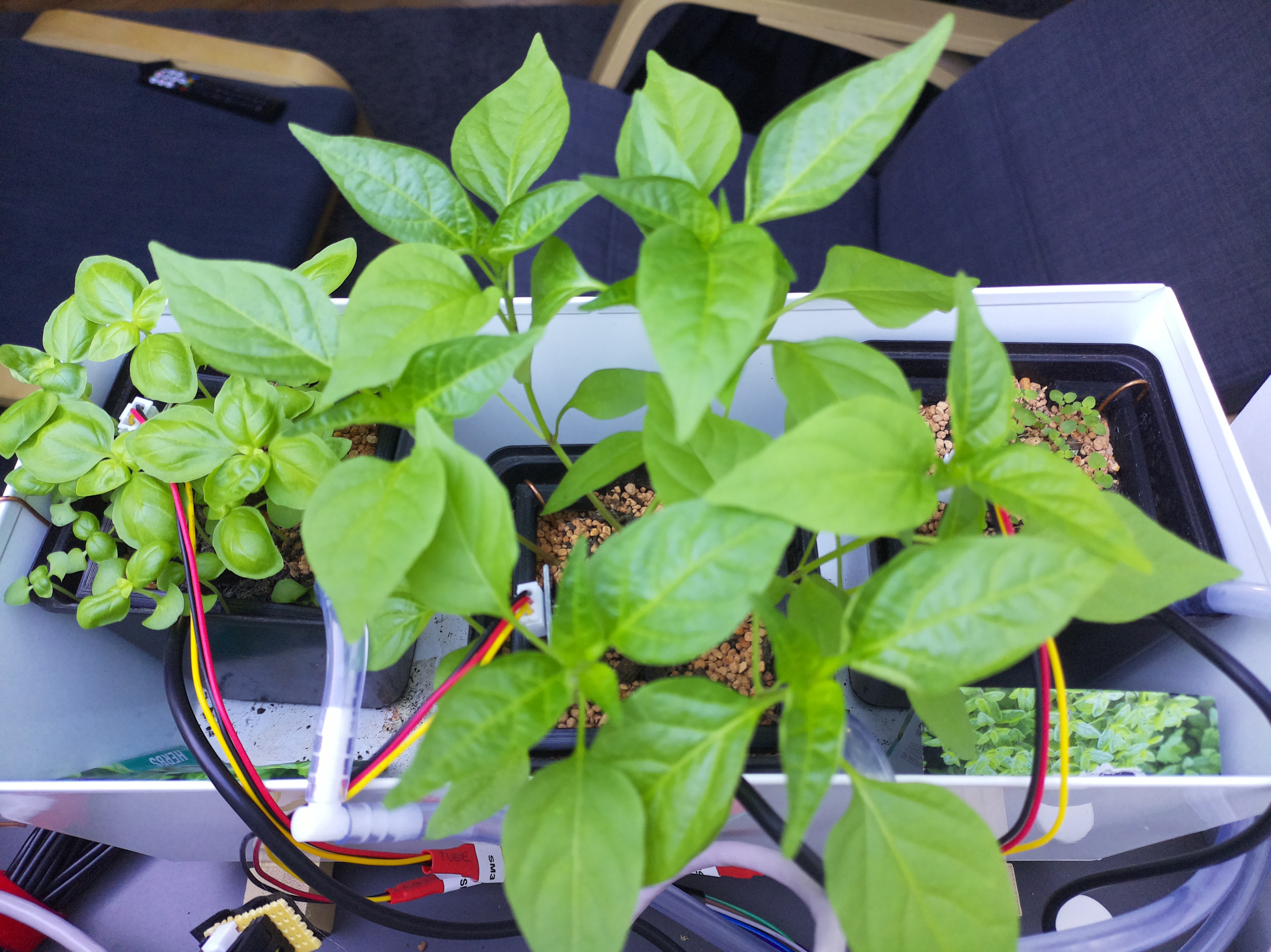 Timelapse image for April 5, 2026