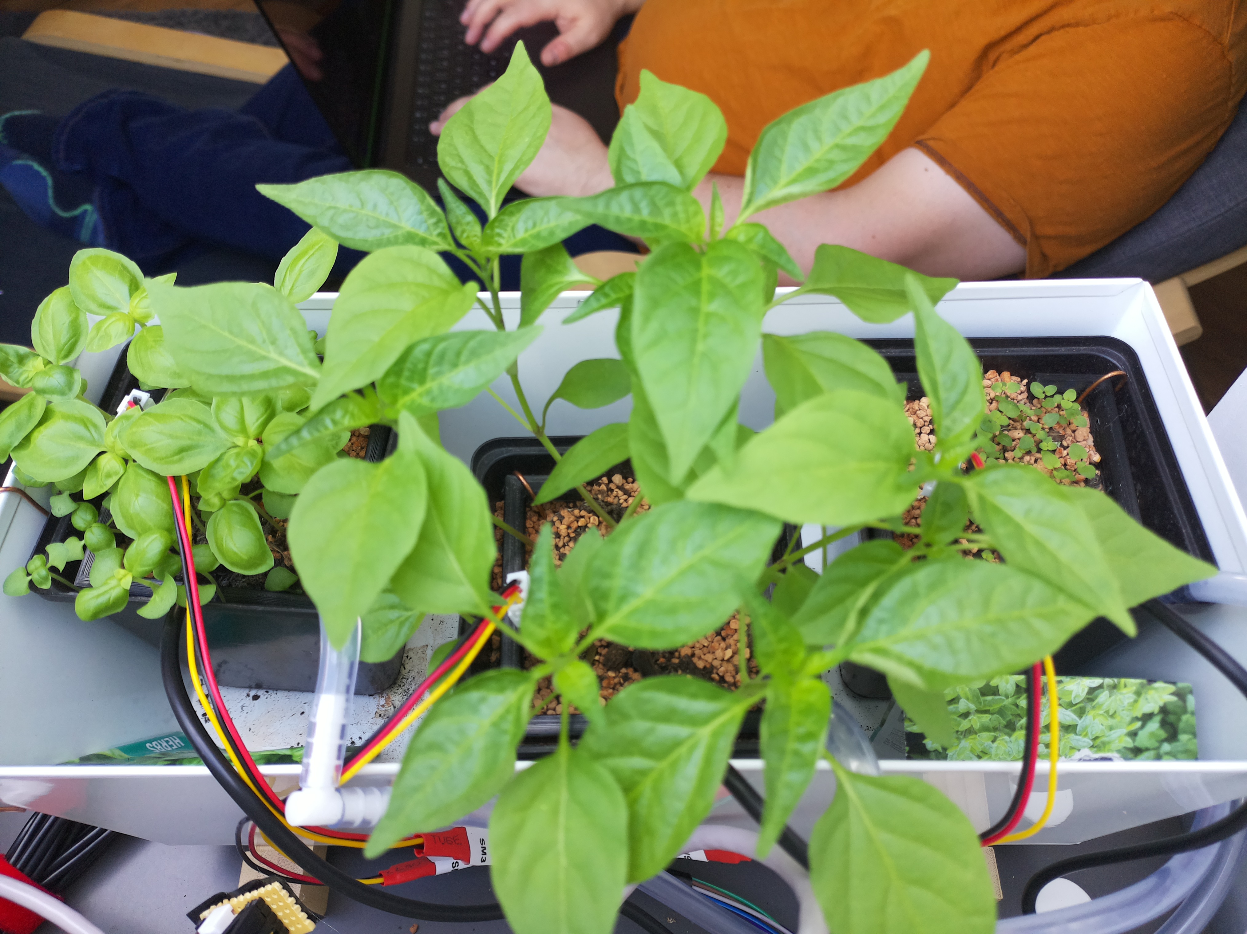 Timelapse image for April 5, 2026