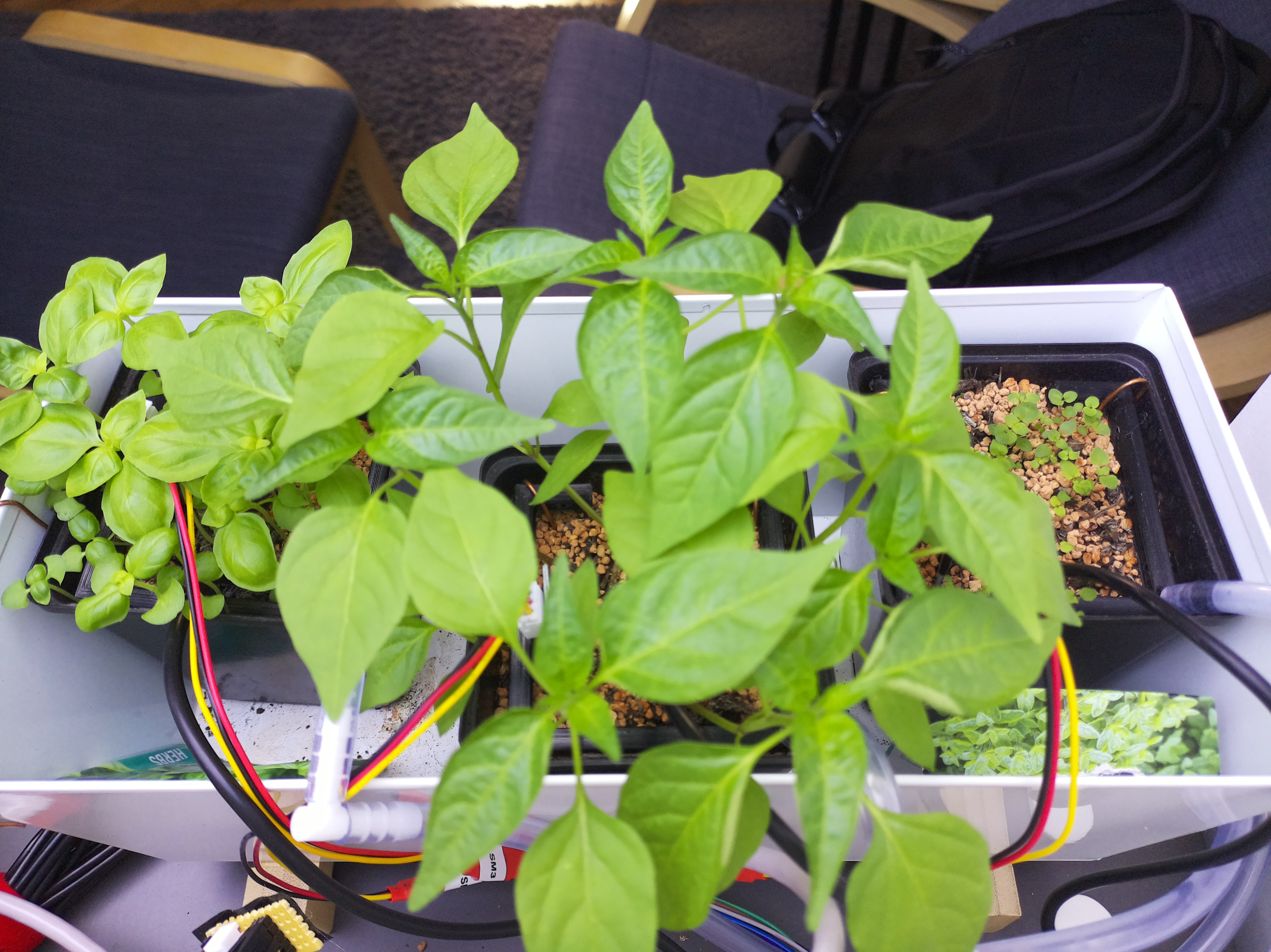 Timelapse image for April 6, 2026