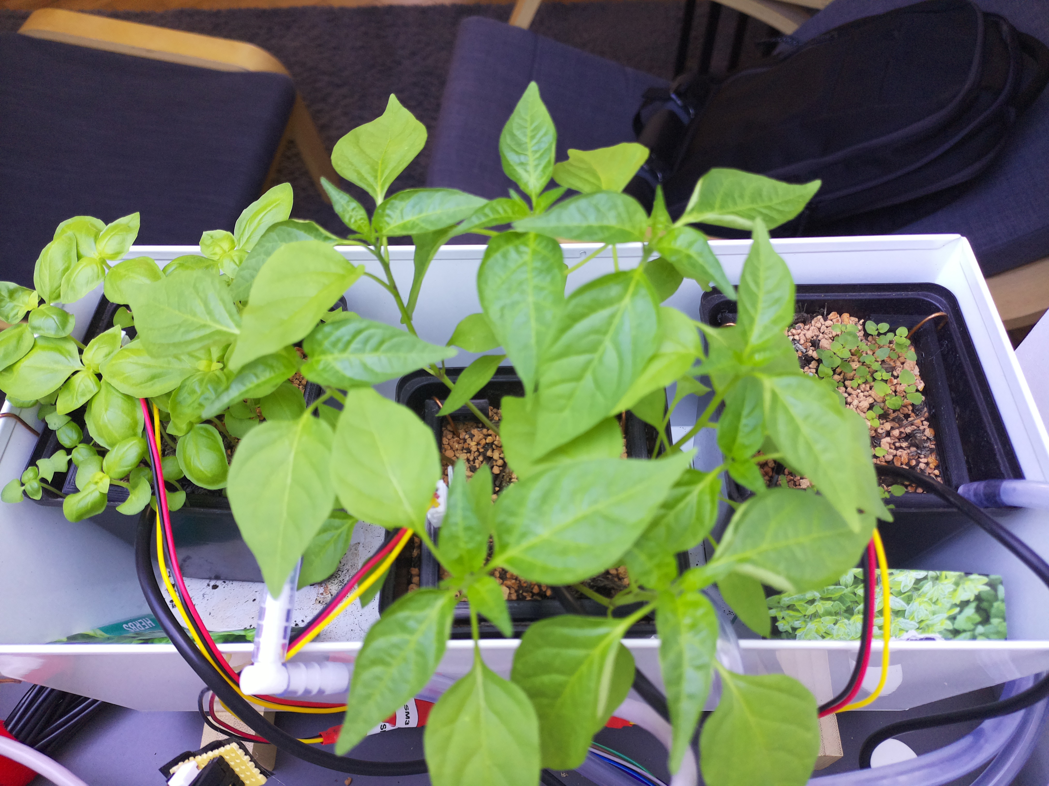 Timelapse image for April 6, 2026