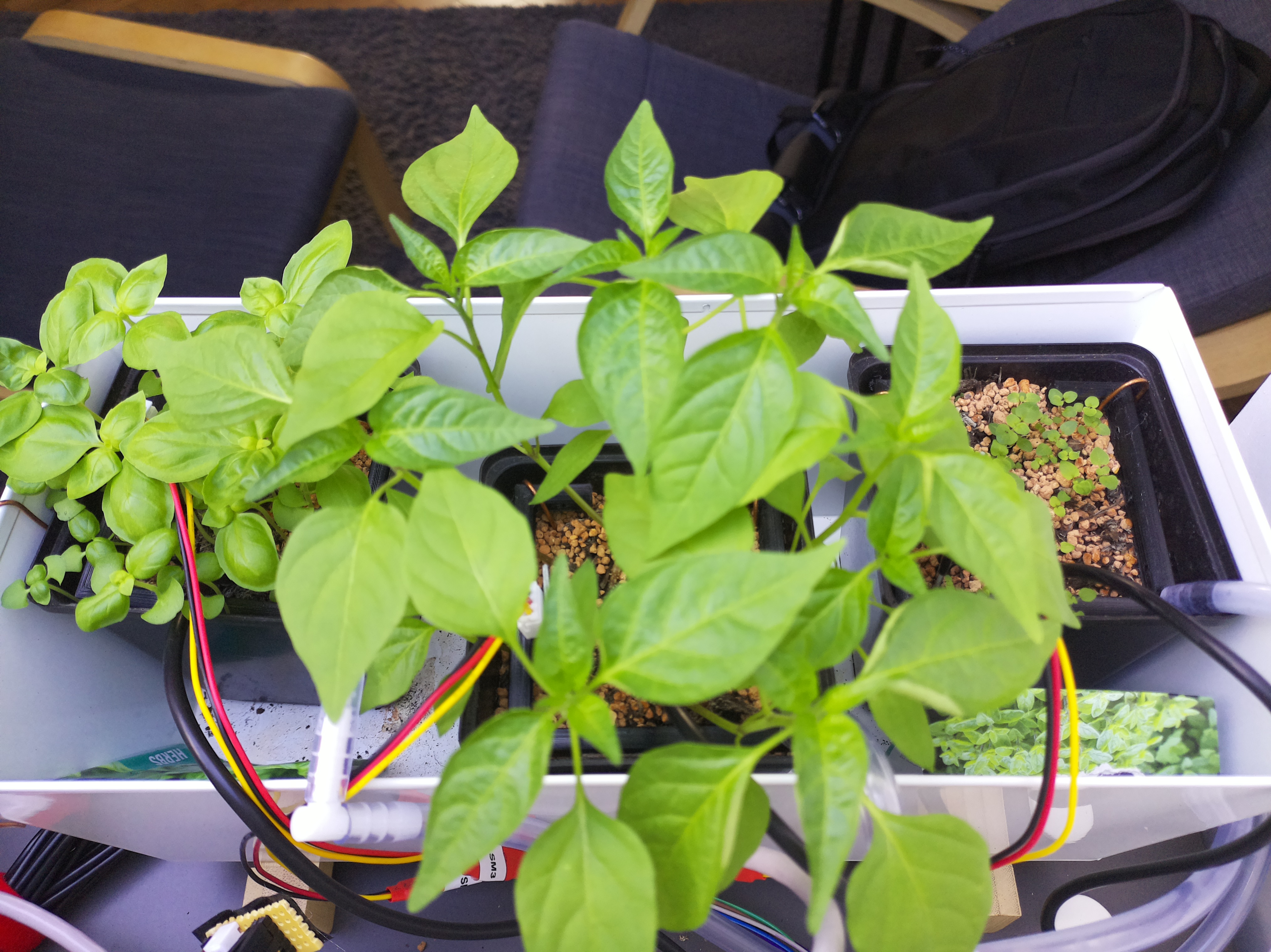 Timelapse image for April 6, 2026