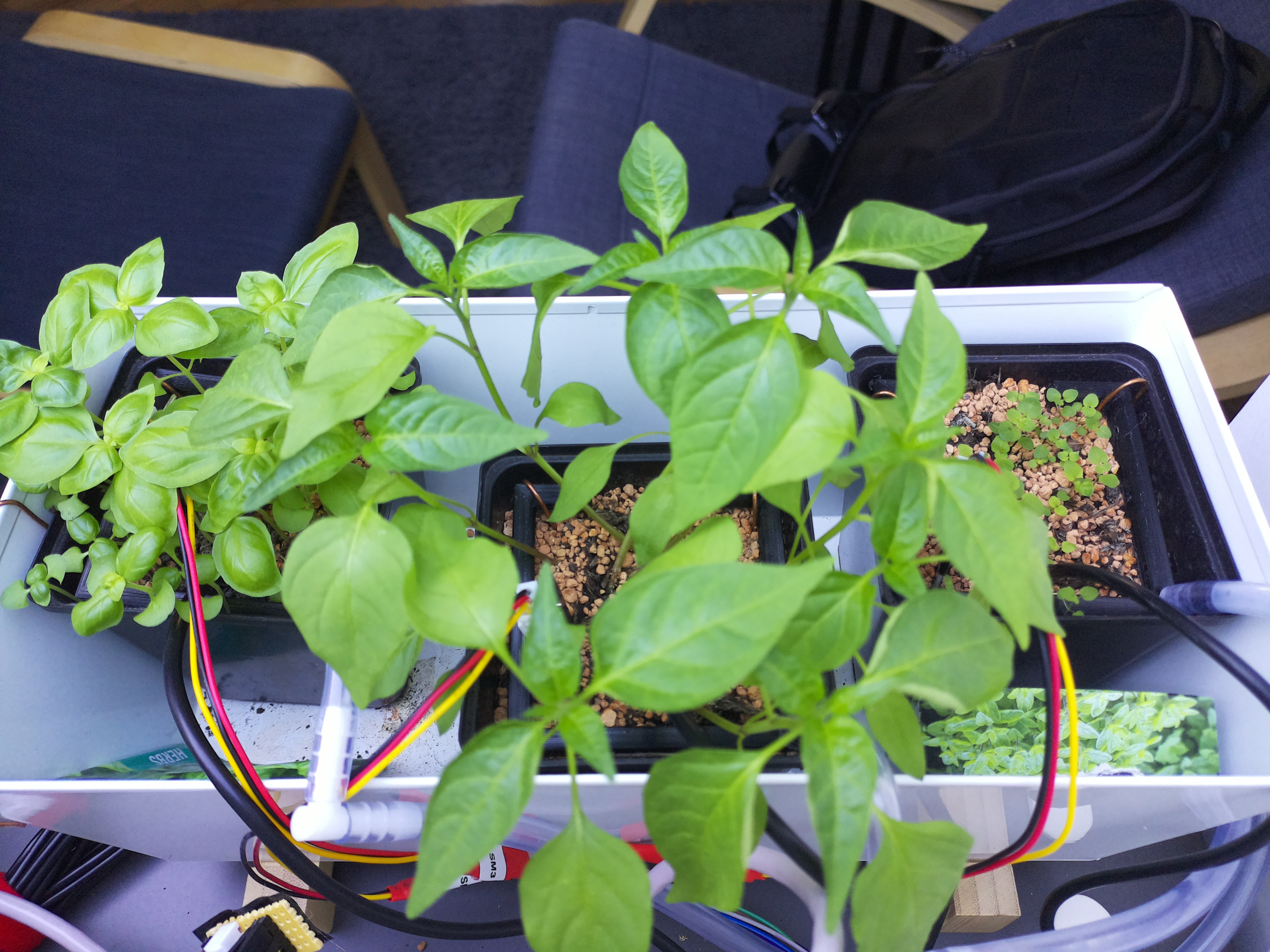 Timelapse image for April 7, 2026