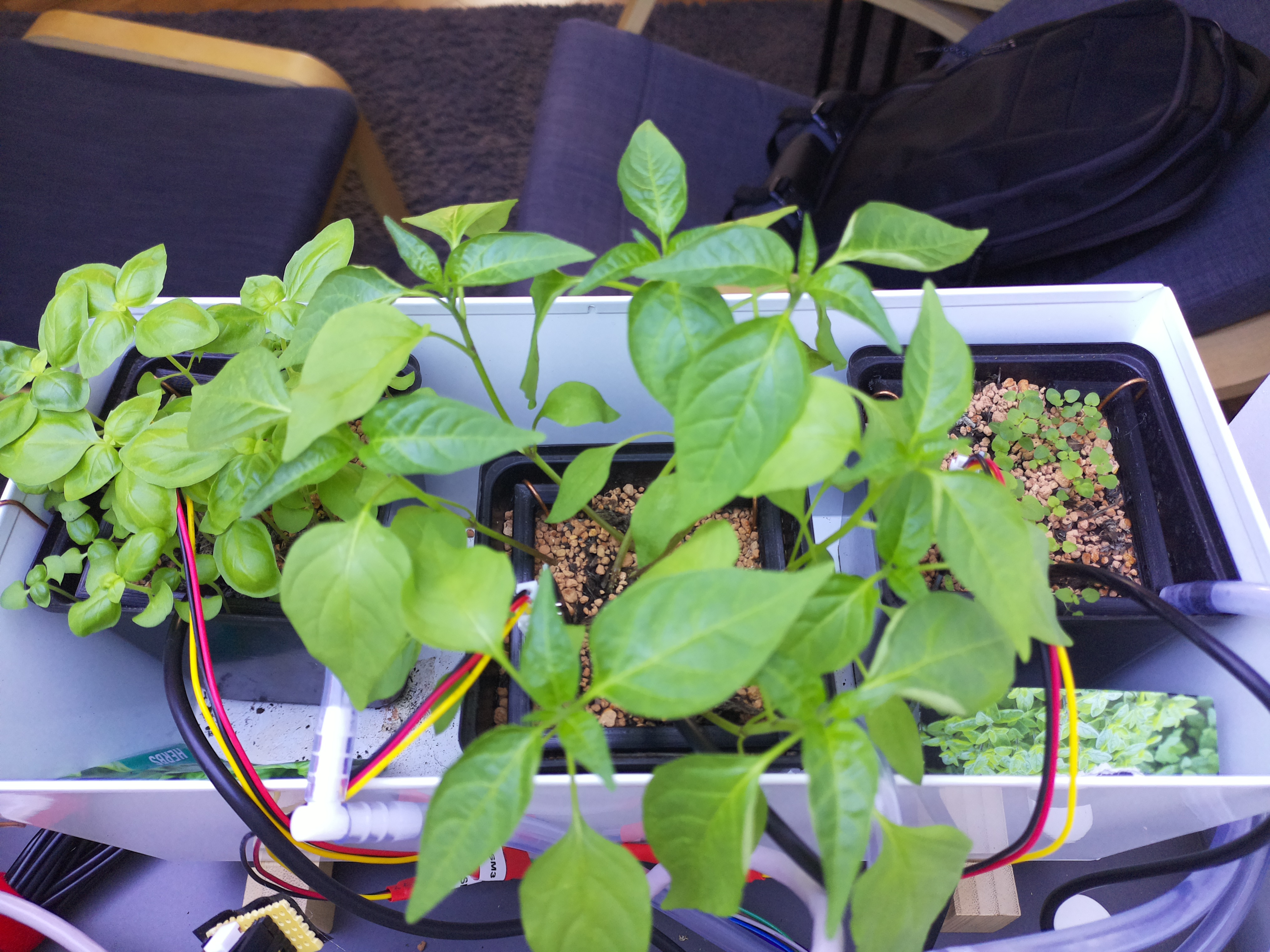 Timelapse image for April 7, 2026