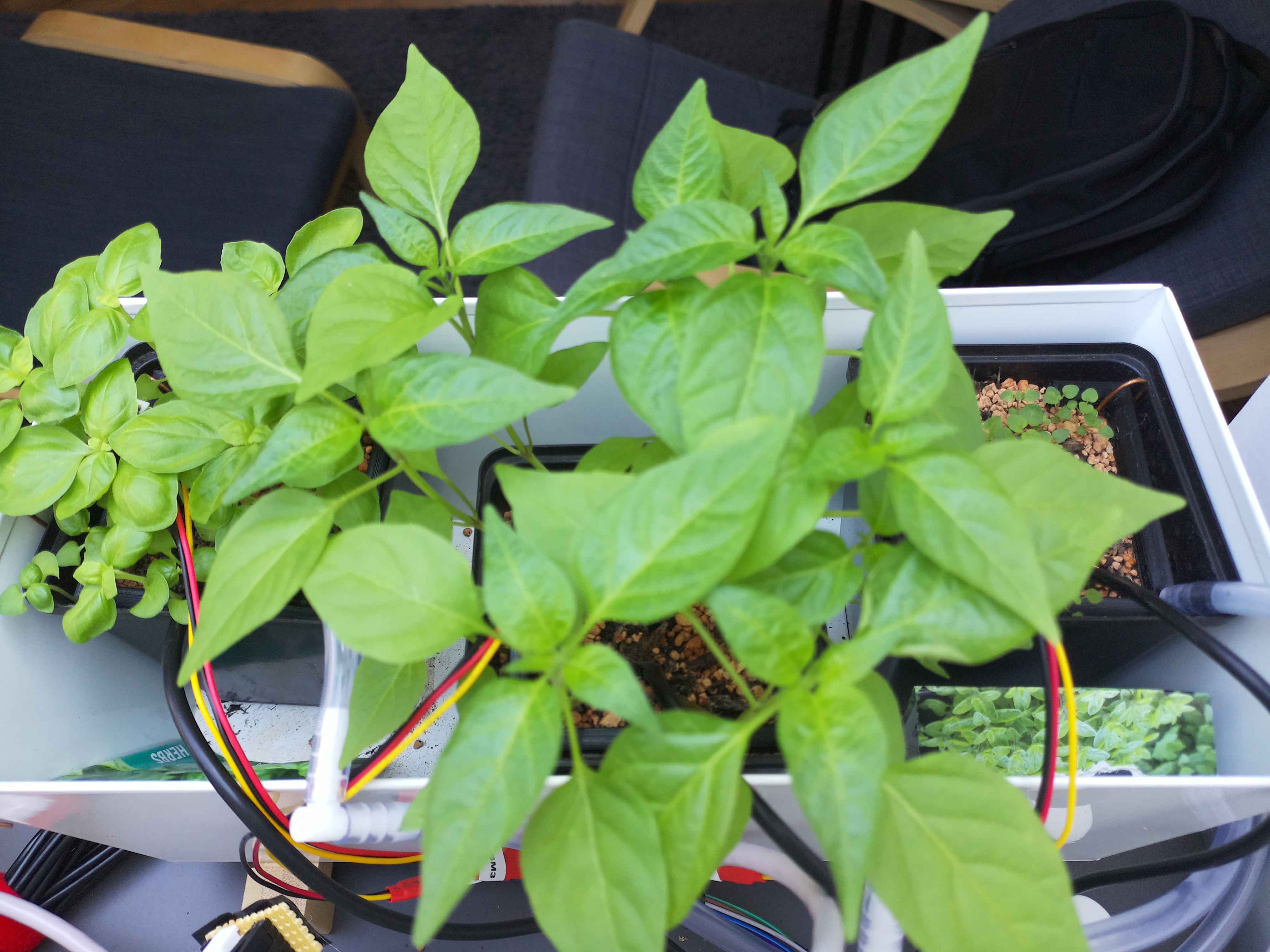 Timelapse image for April 8, 2026