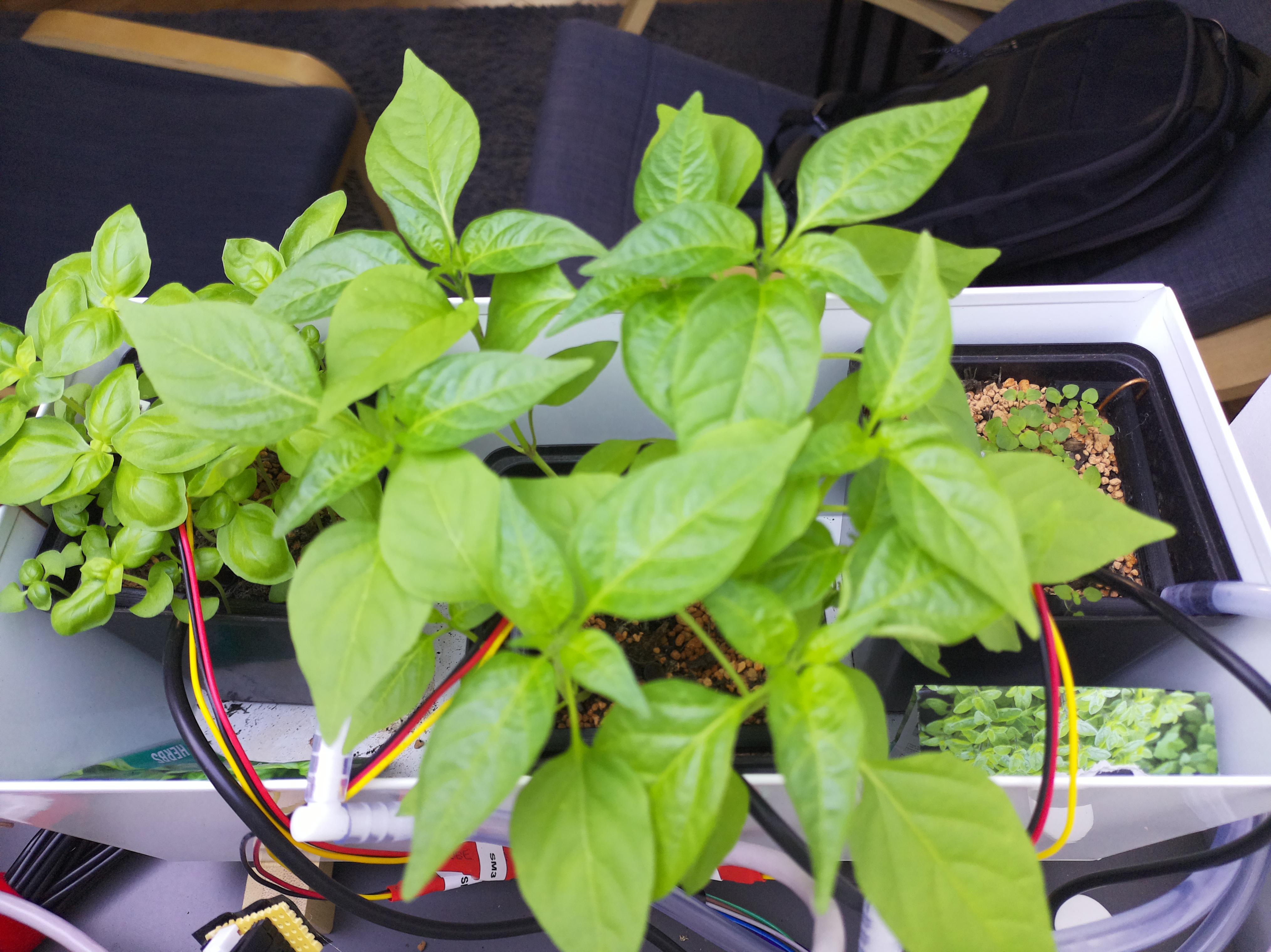 Timelapse image for April 8, 2026