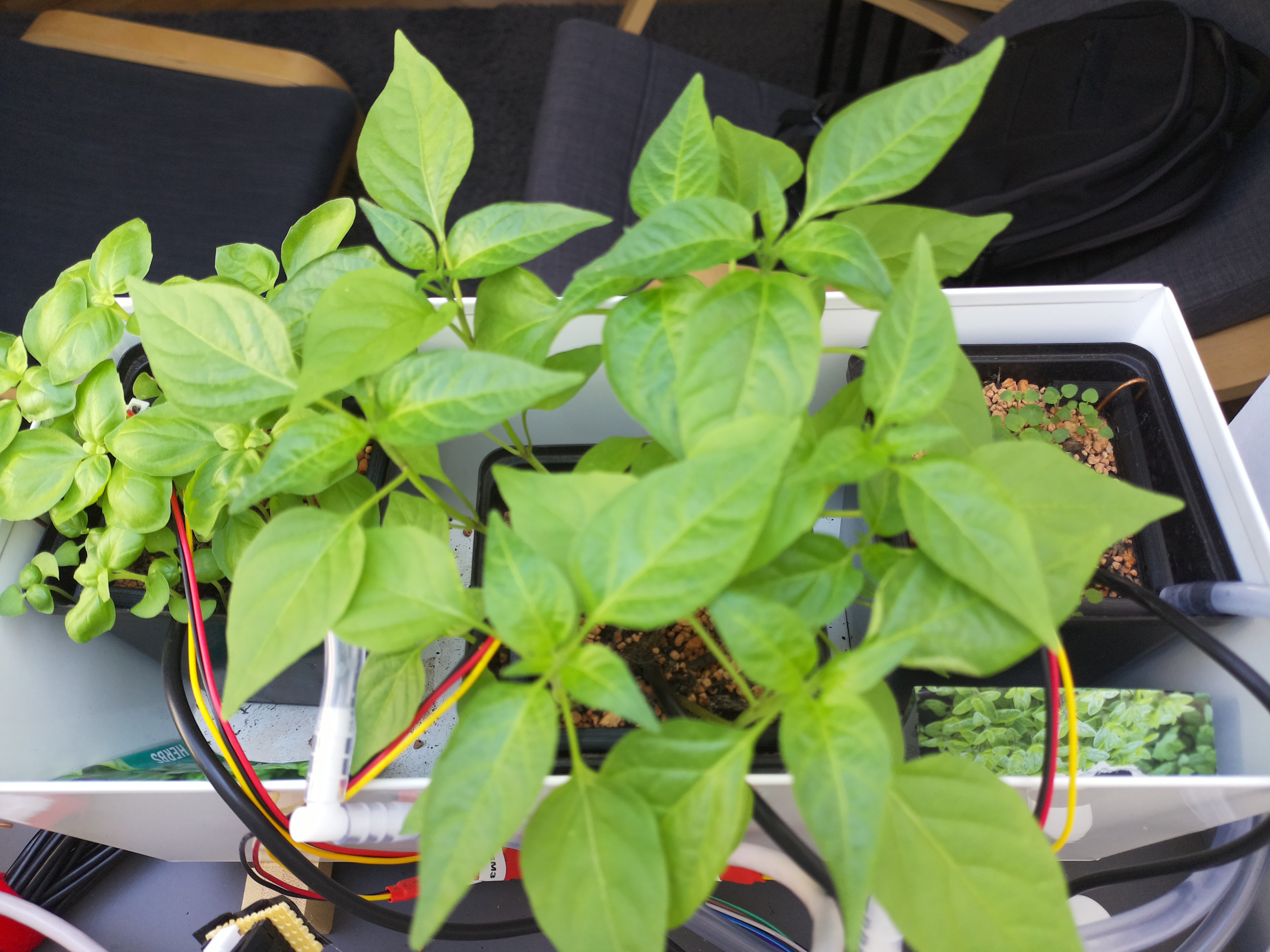 Timelapse image for April 8, 2026