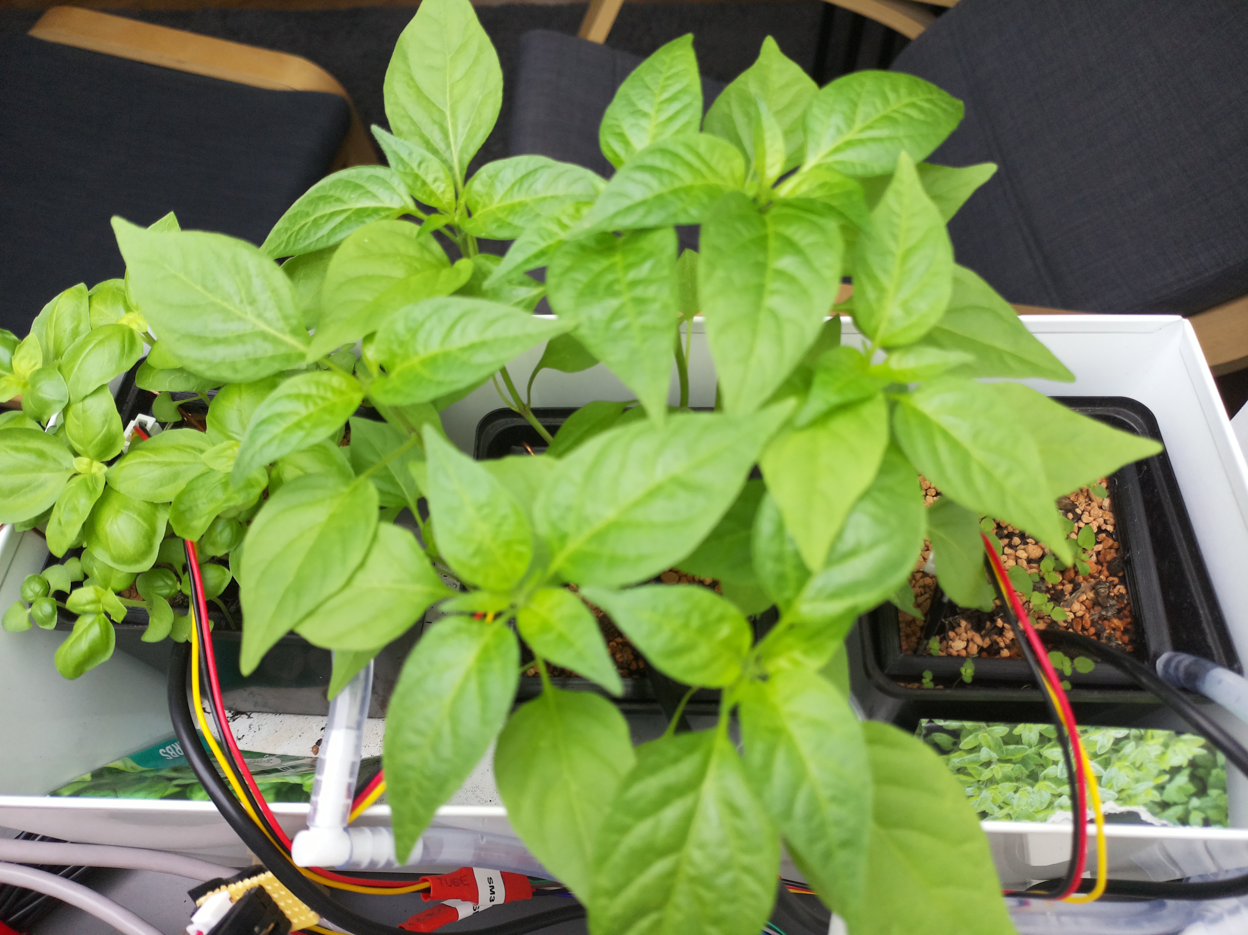 Timelapse image for April 9, 2026