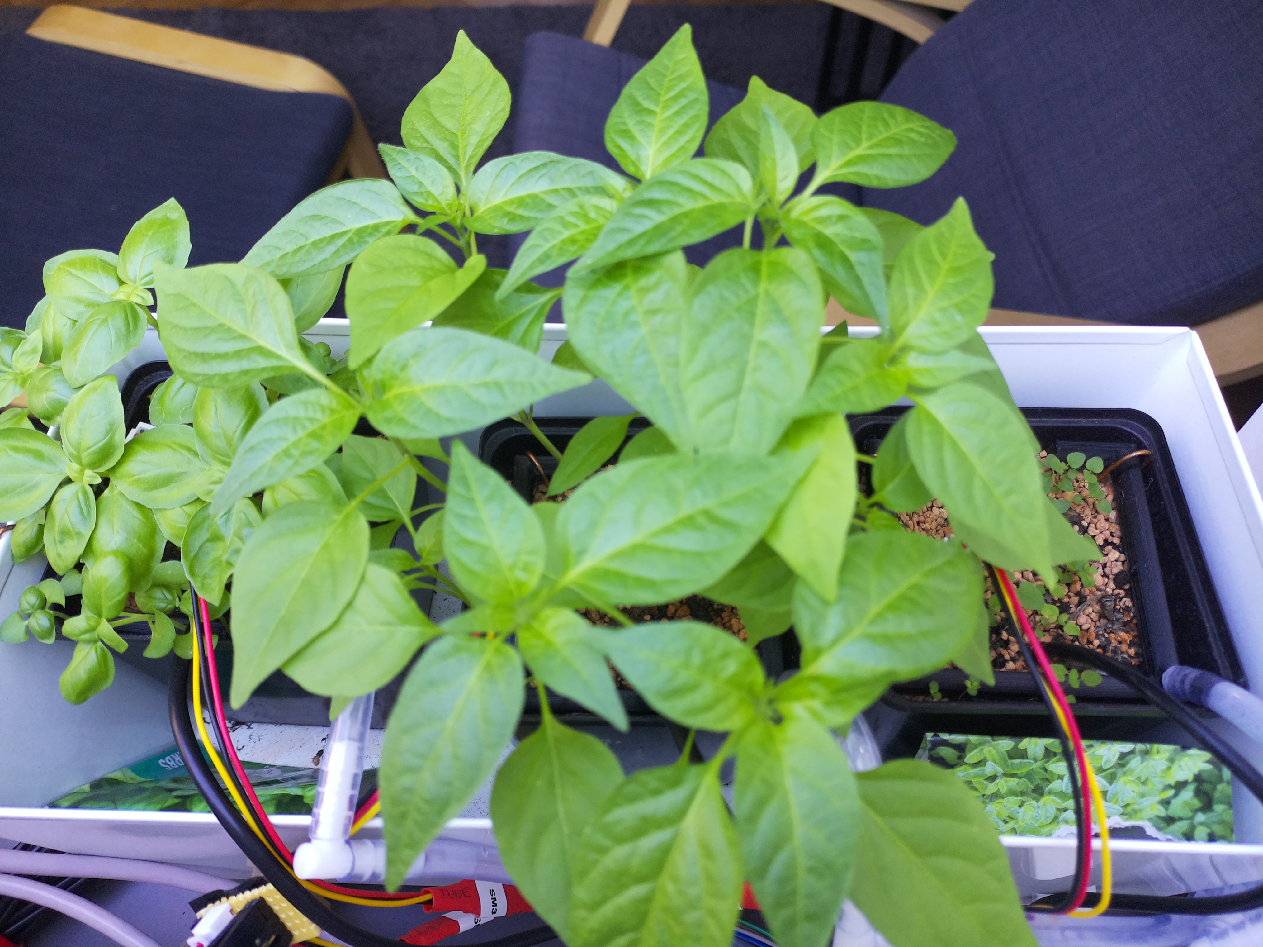 Timelapse image for April 9, 2026