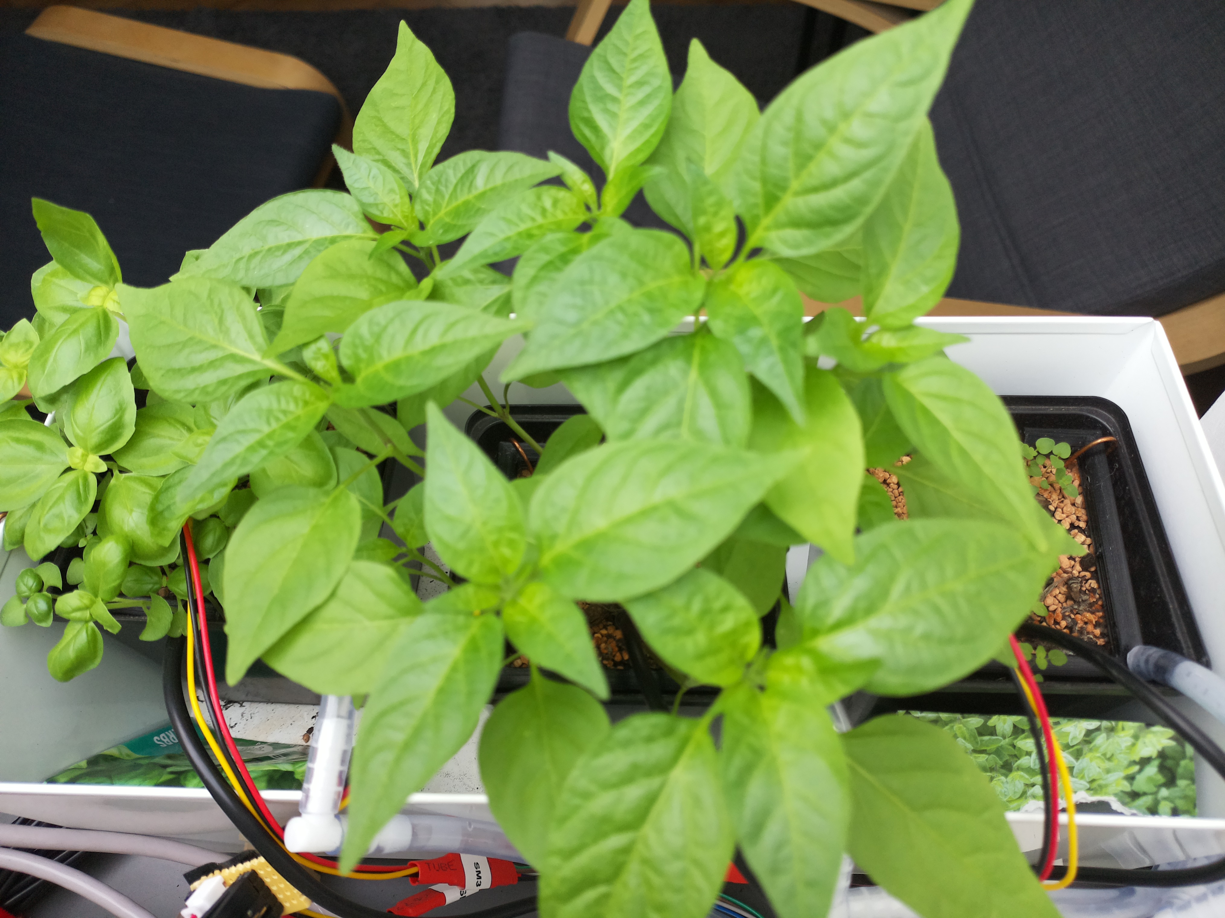 Timelapse image for April 10, 2026