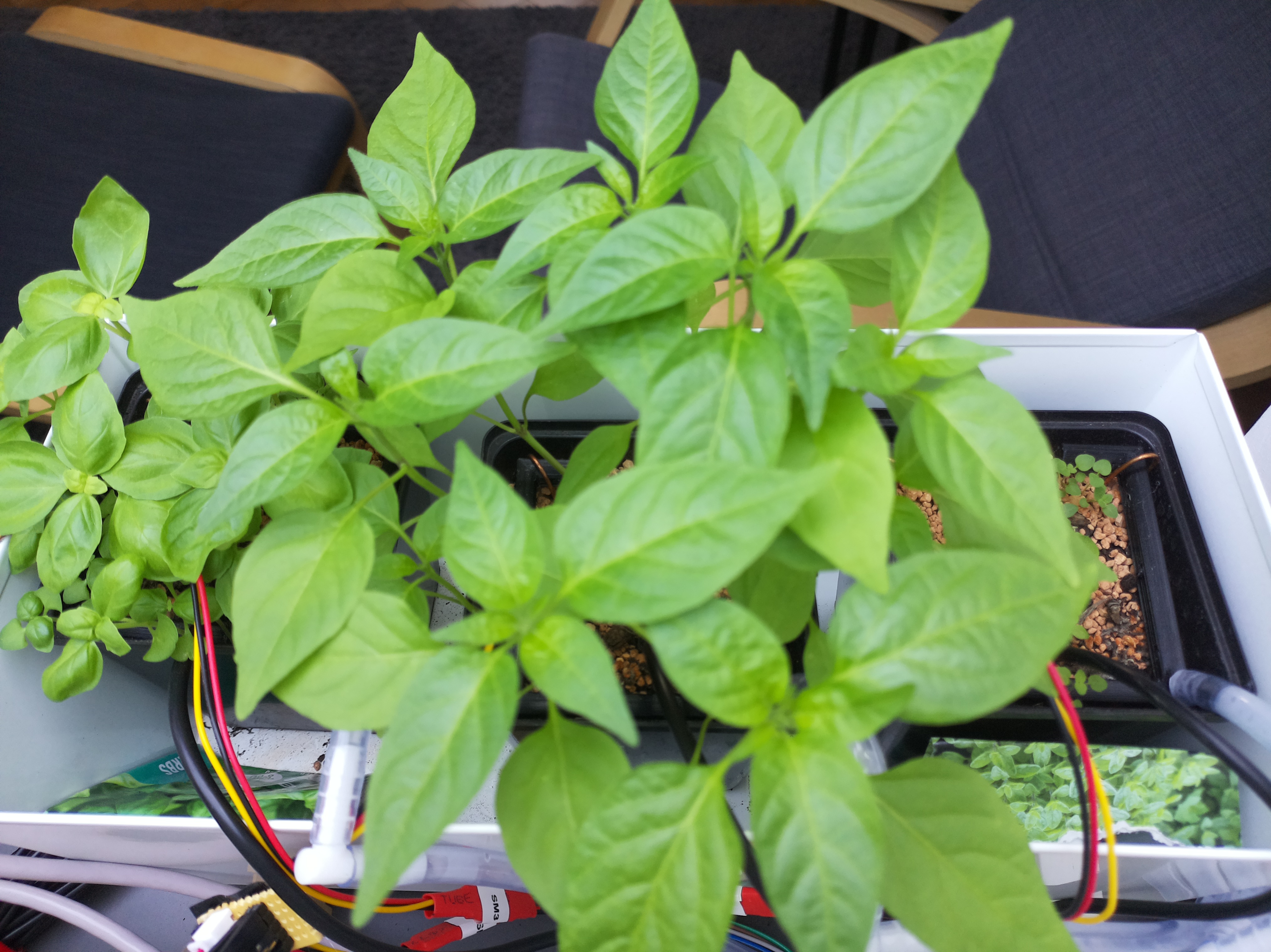 Timelapse image for April 10, 2026