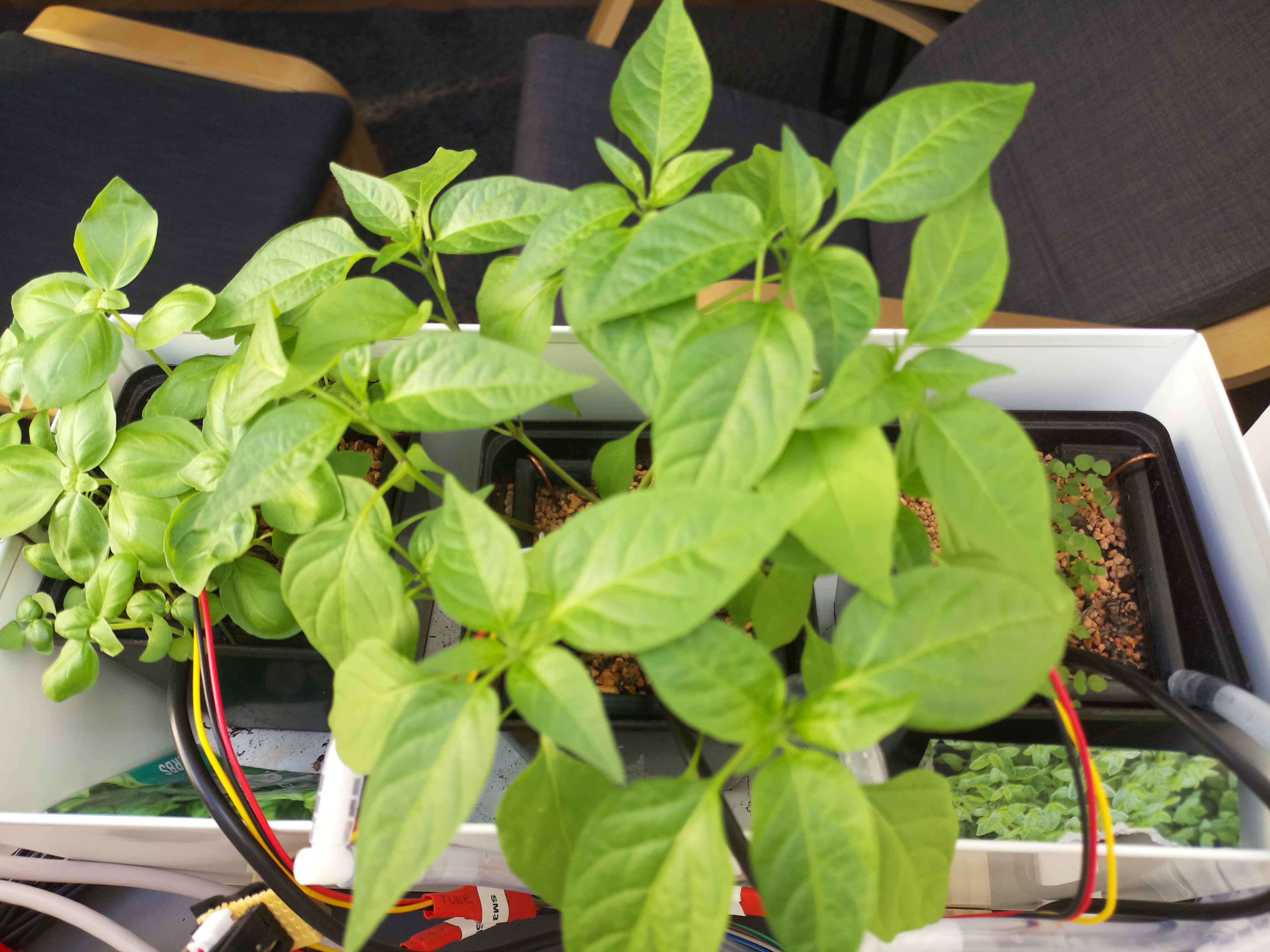 Timelapse image for April 10, 2026