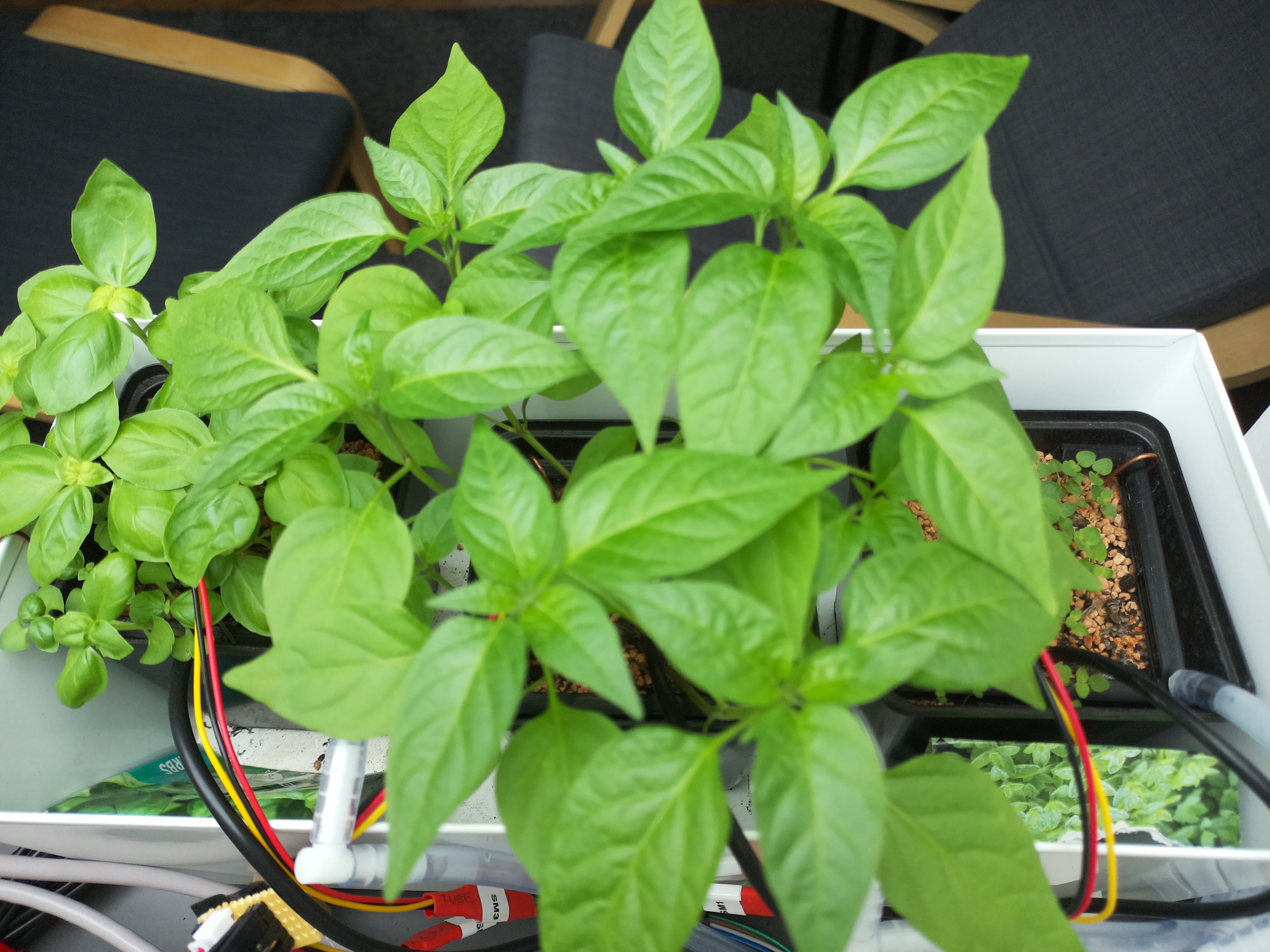 Timelapse image for April 11, 2026