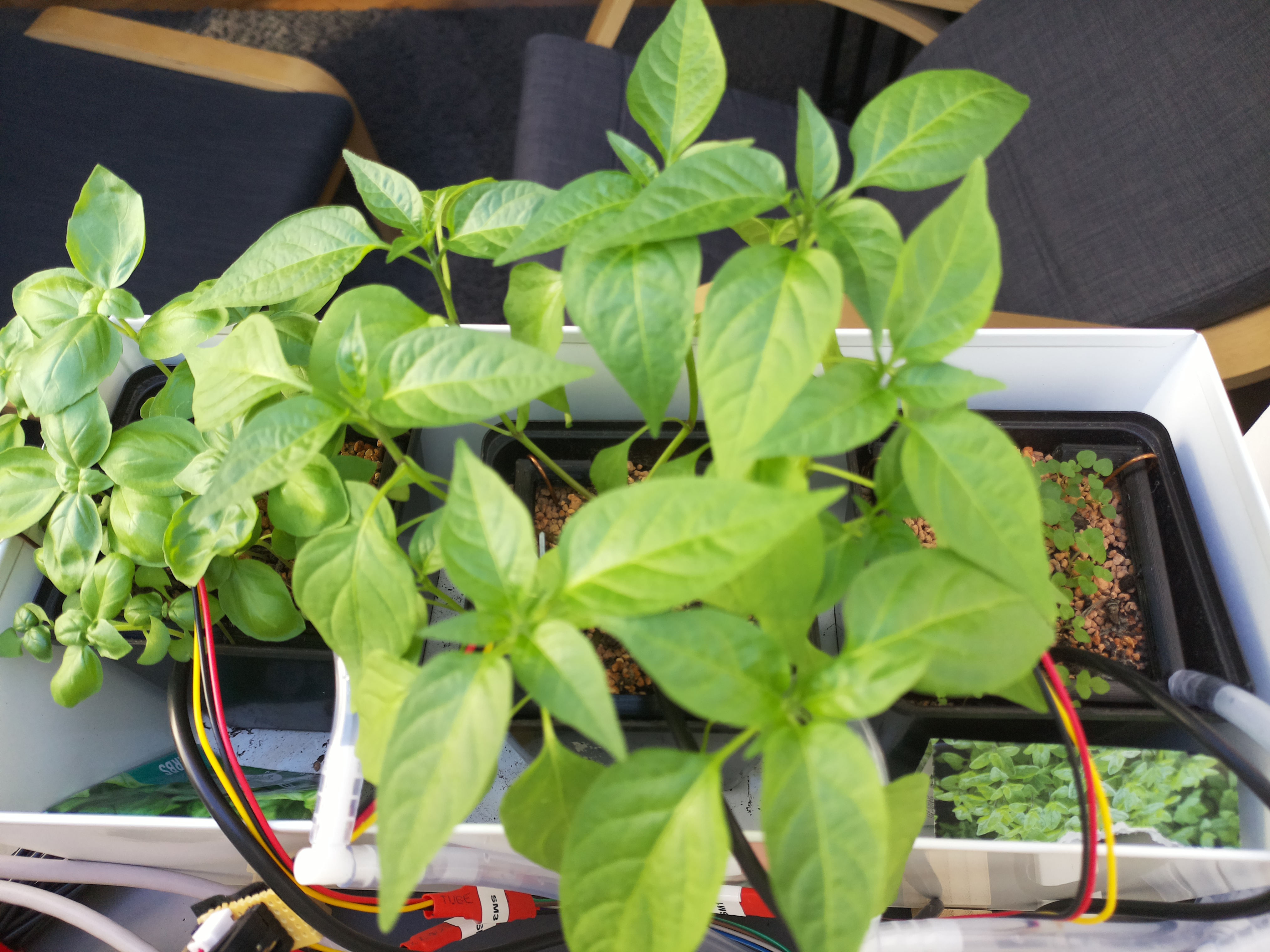 Timelapse image for April 11, 2026