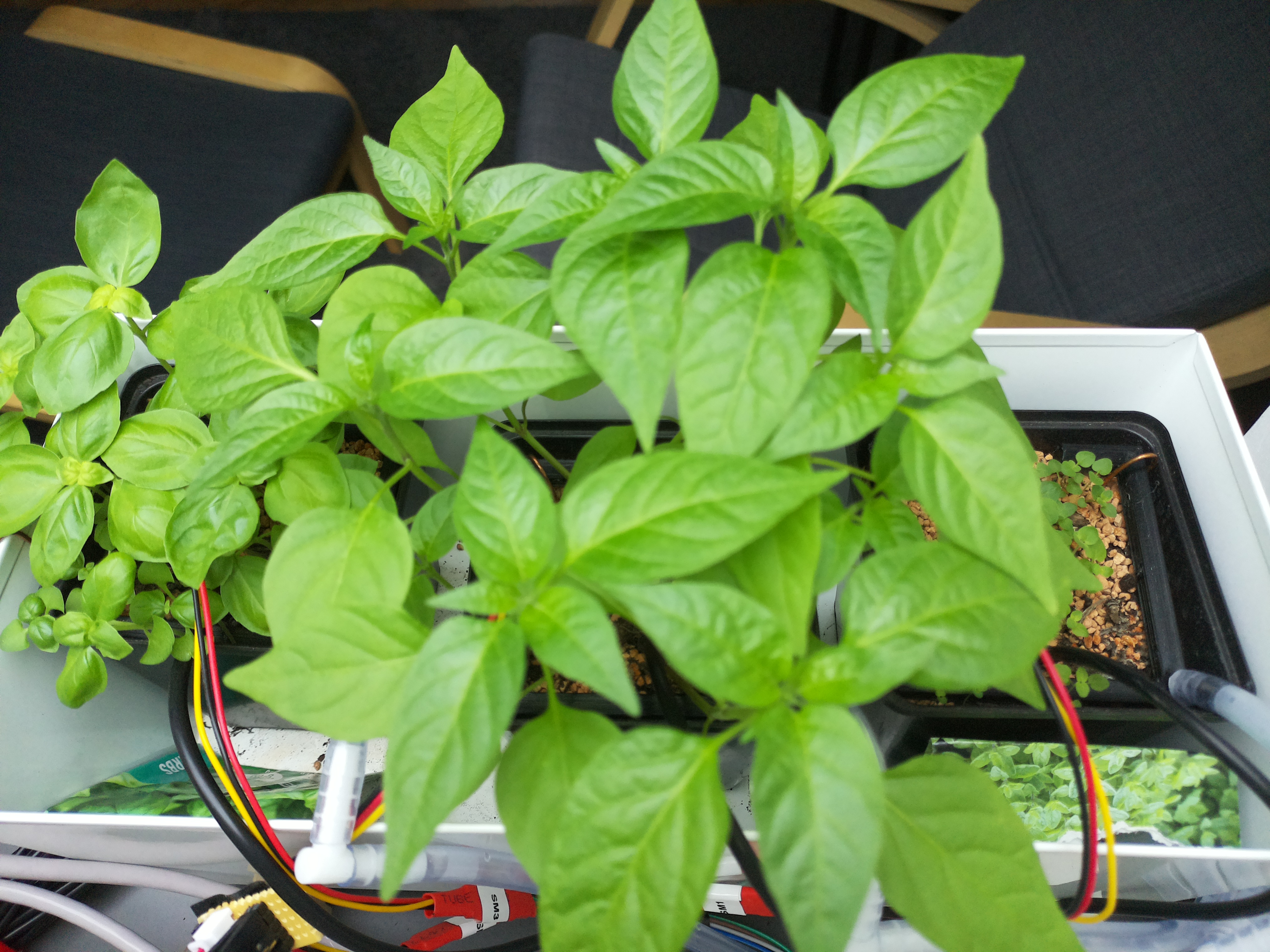 Timelapse image for April 11, 2026