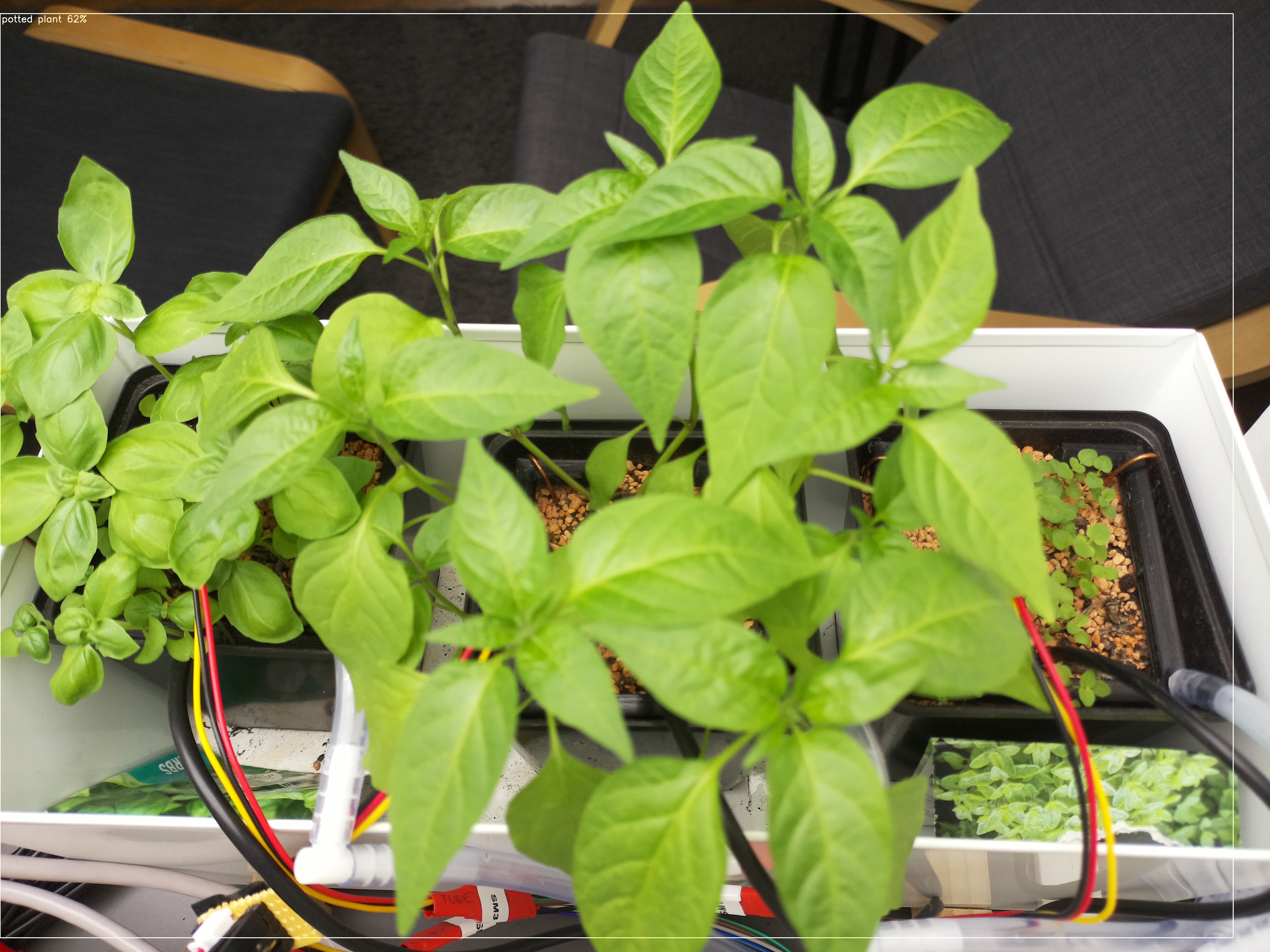 Timelapse image for April 12, 2026