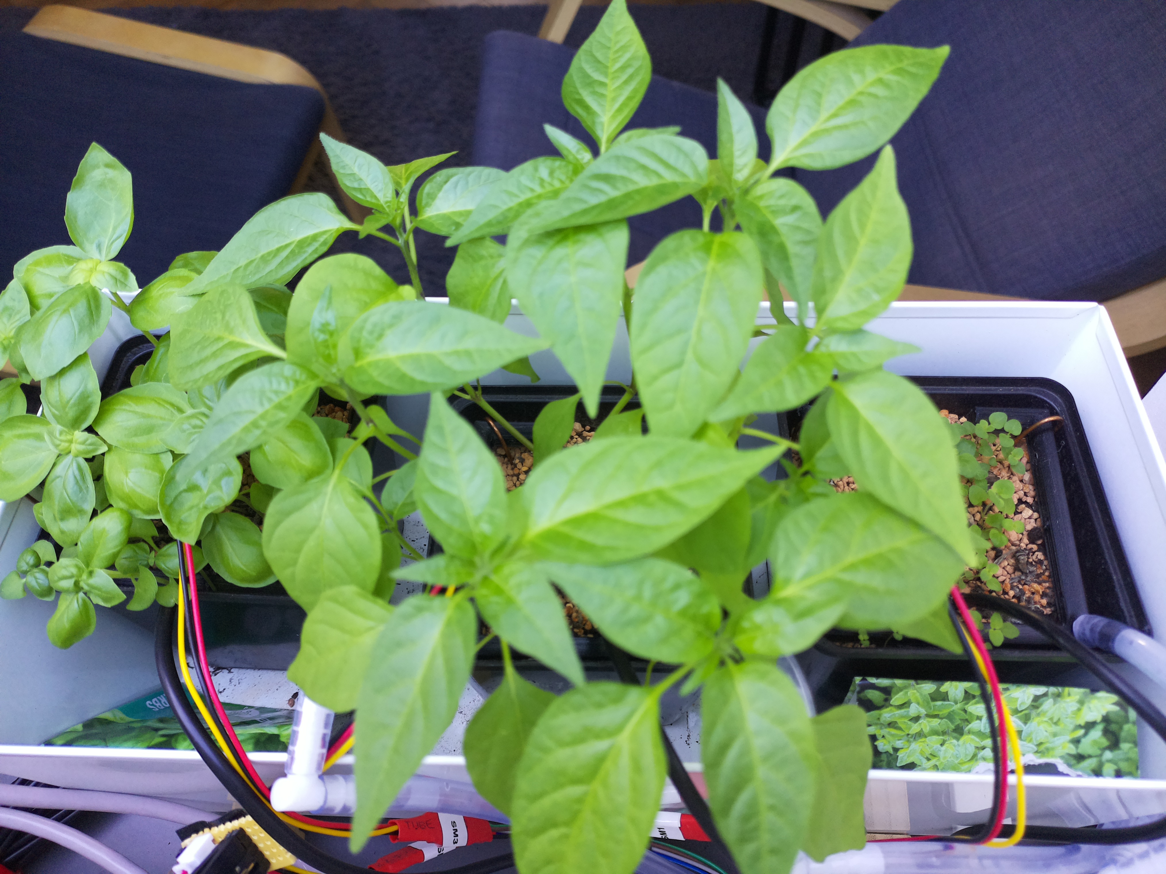 Timelapse image for April 12, 2026