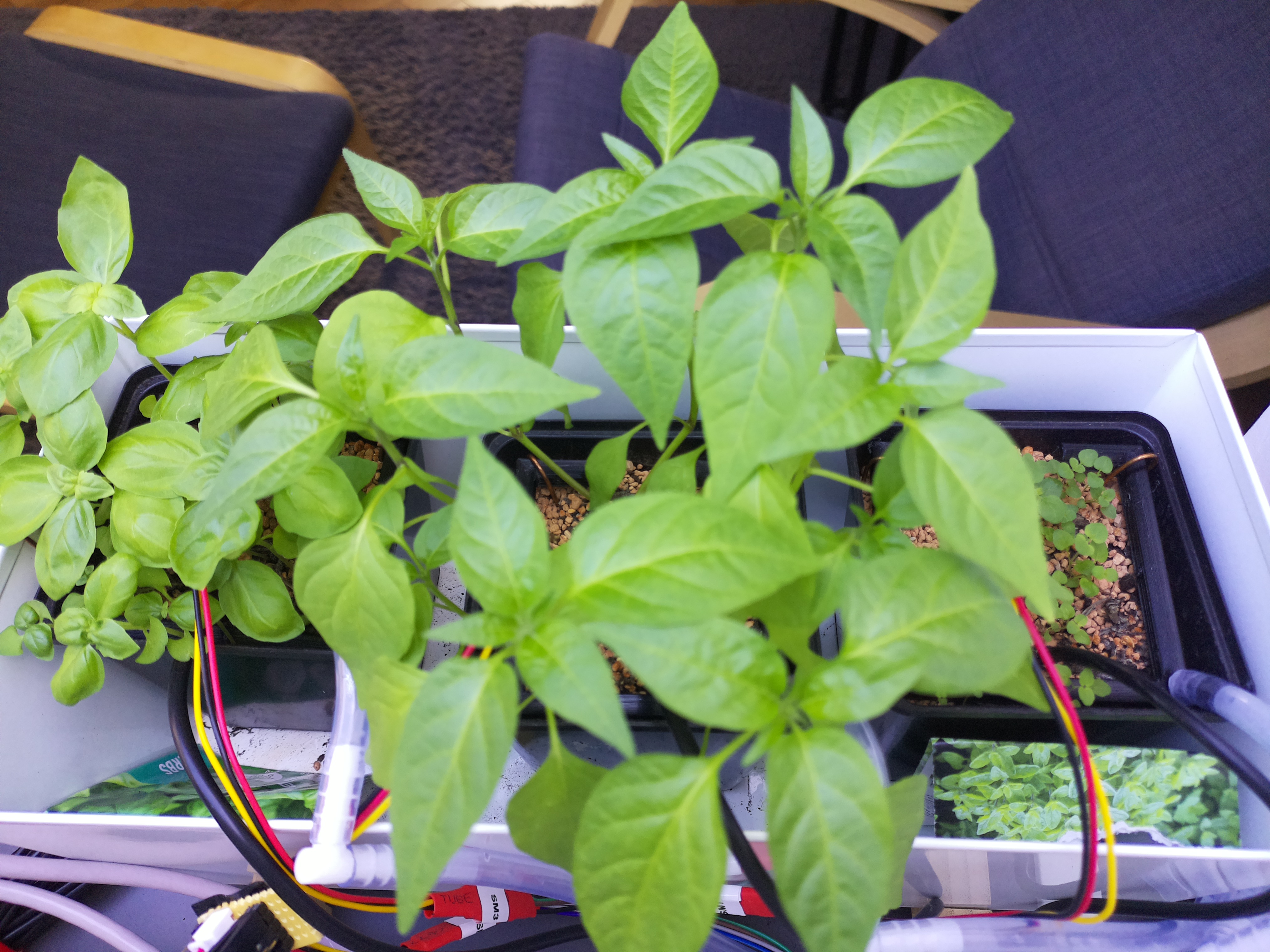 Timelapse image for April 12, 2026