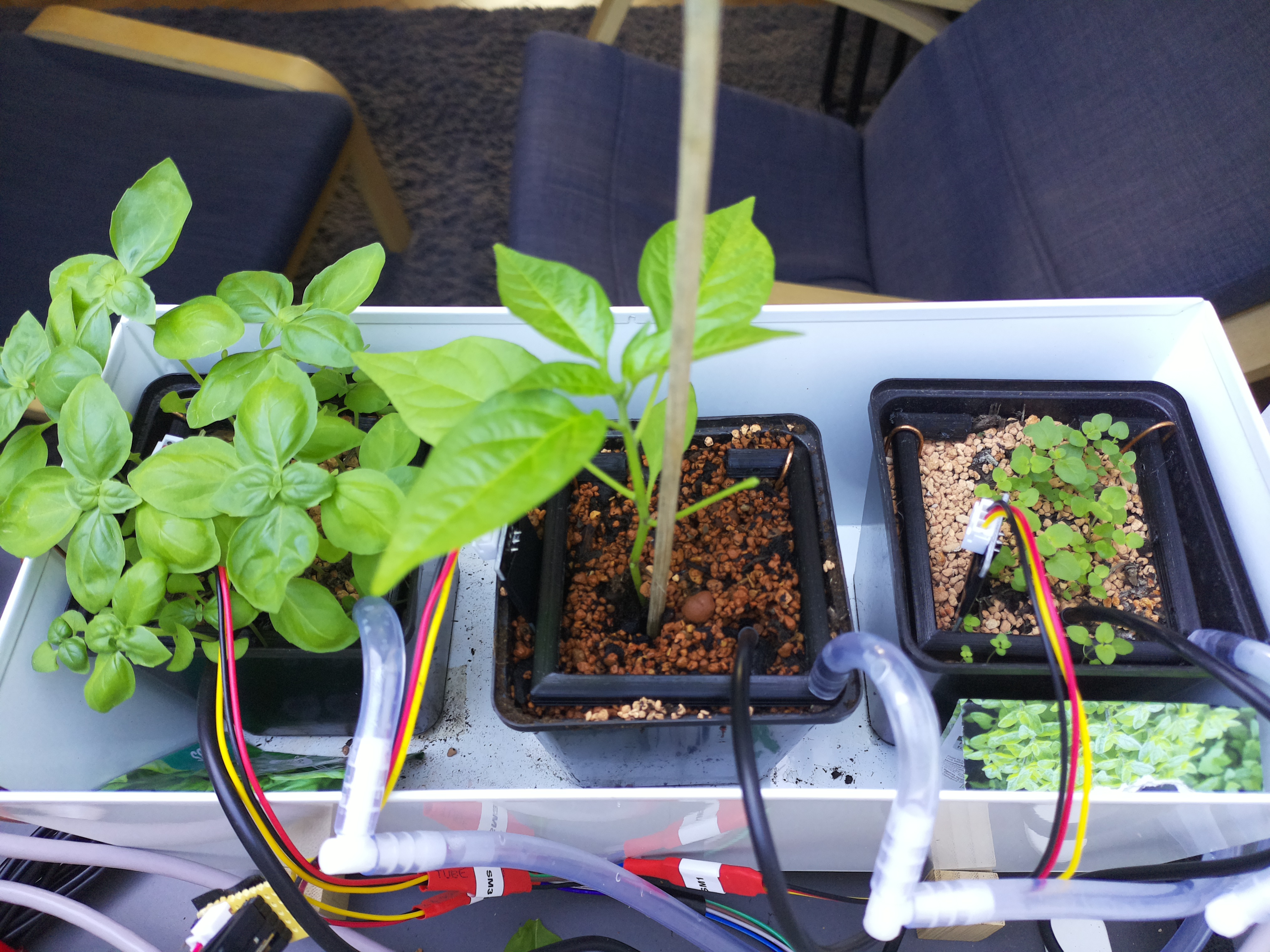 Timelapse image for April 13, 2026