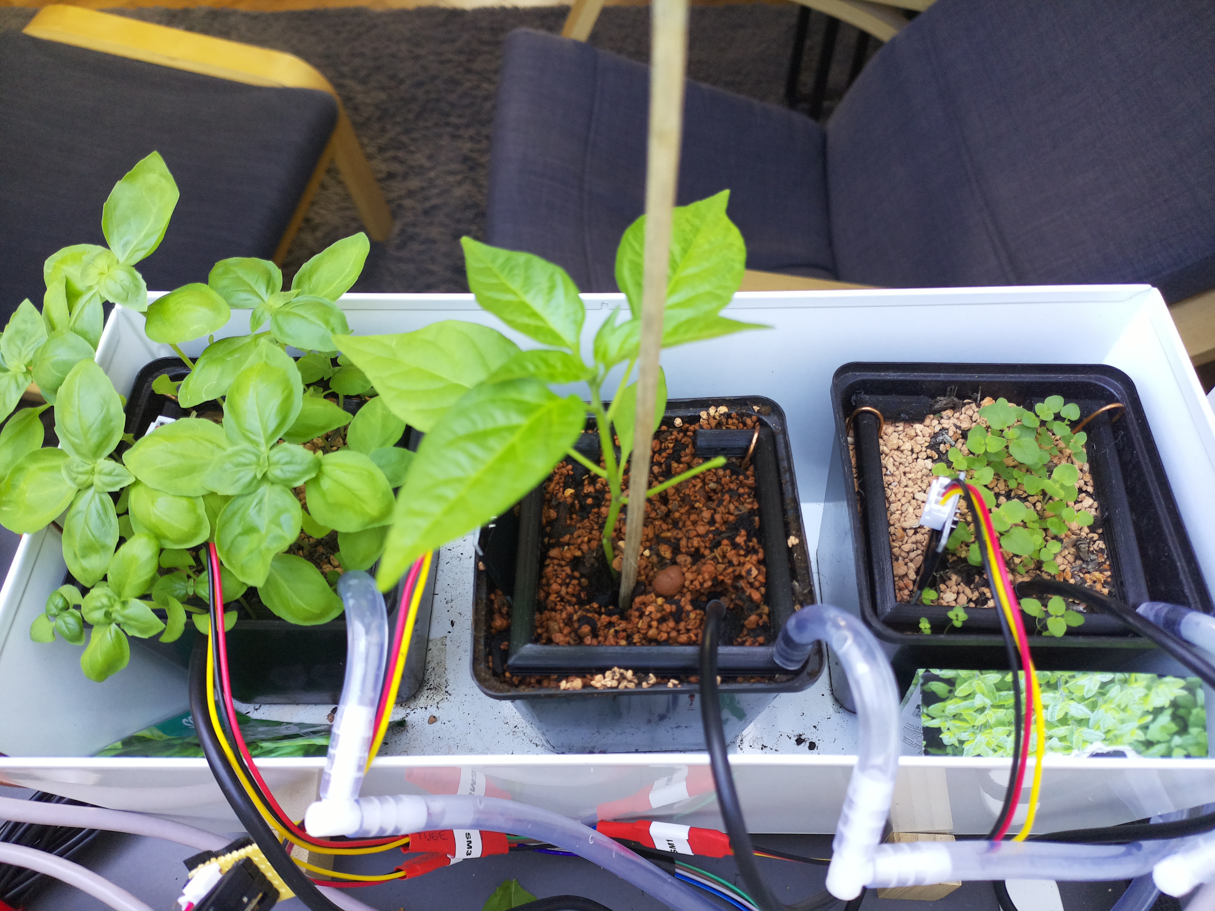 Timelapse image for April 13, 2026