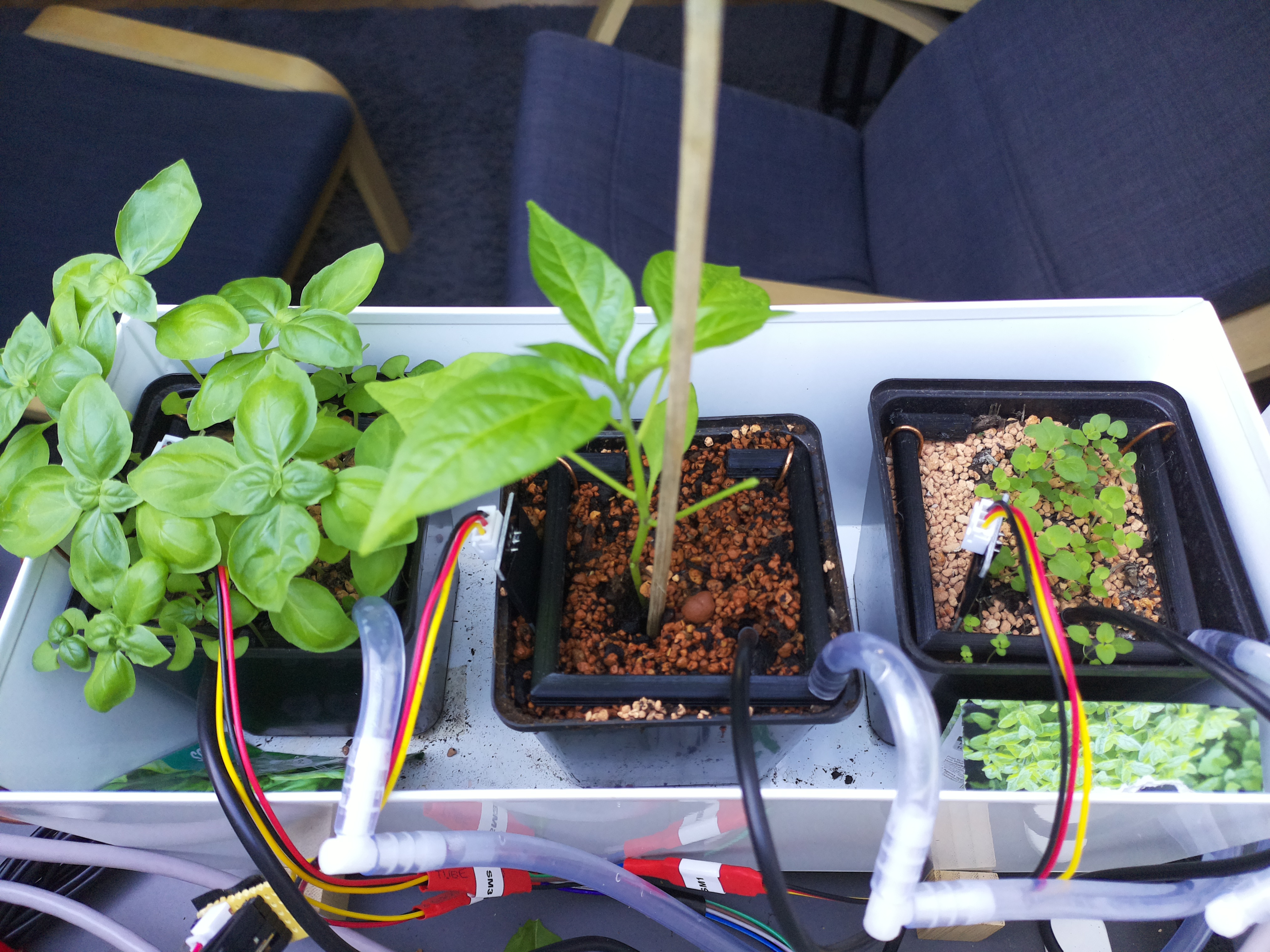 Timelapse image for April 13, 2026