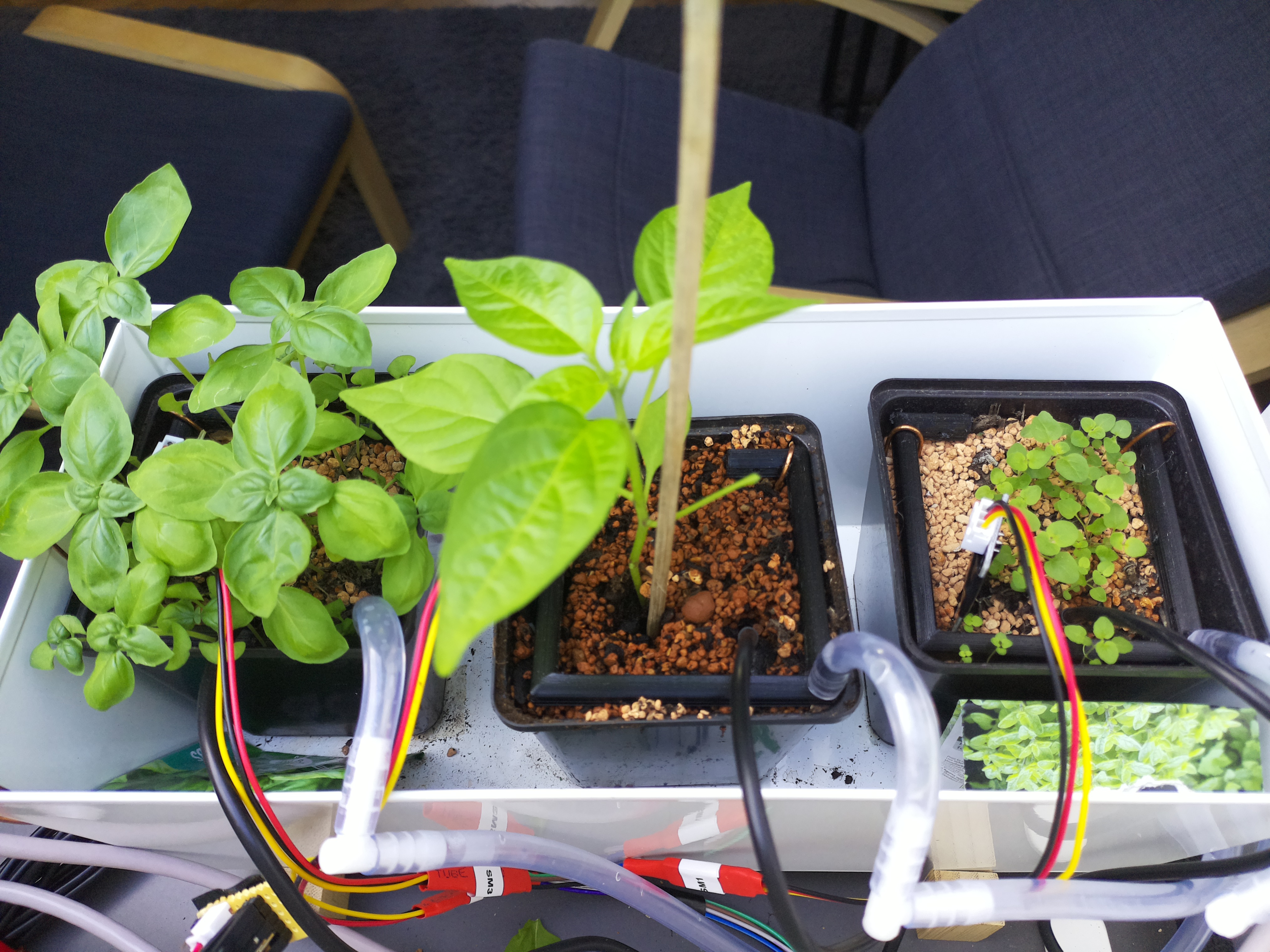 Timelapse image for April 14, 2026