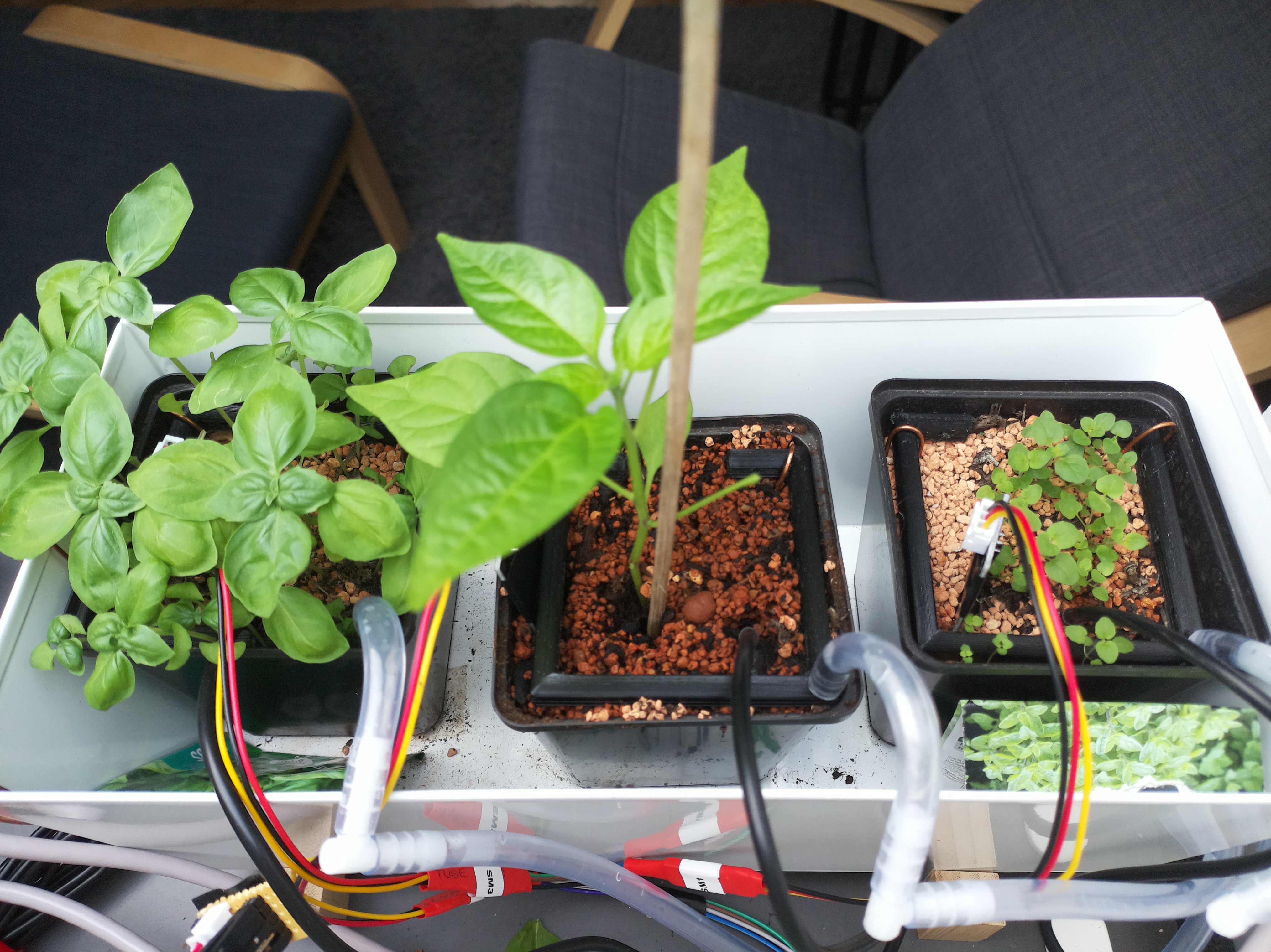 Timelapse image for April 14, 2026