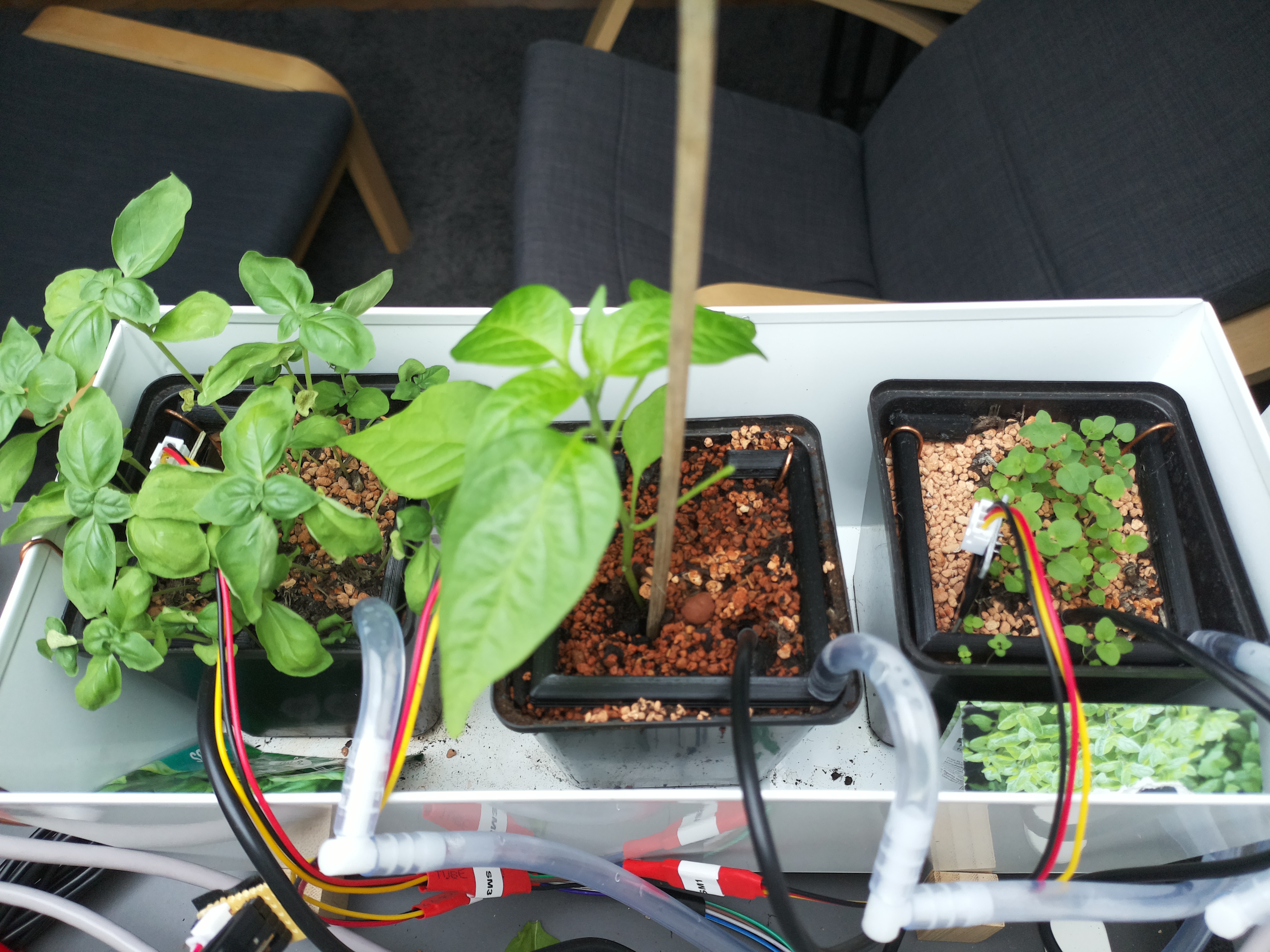 Timelapse image for April 14, 2026