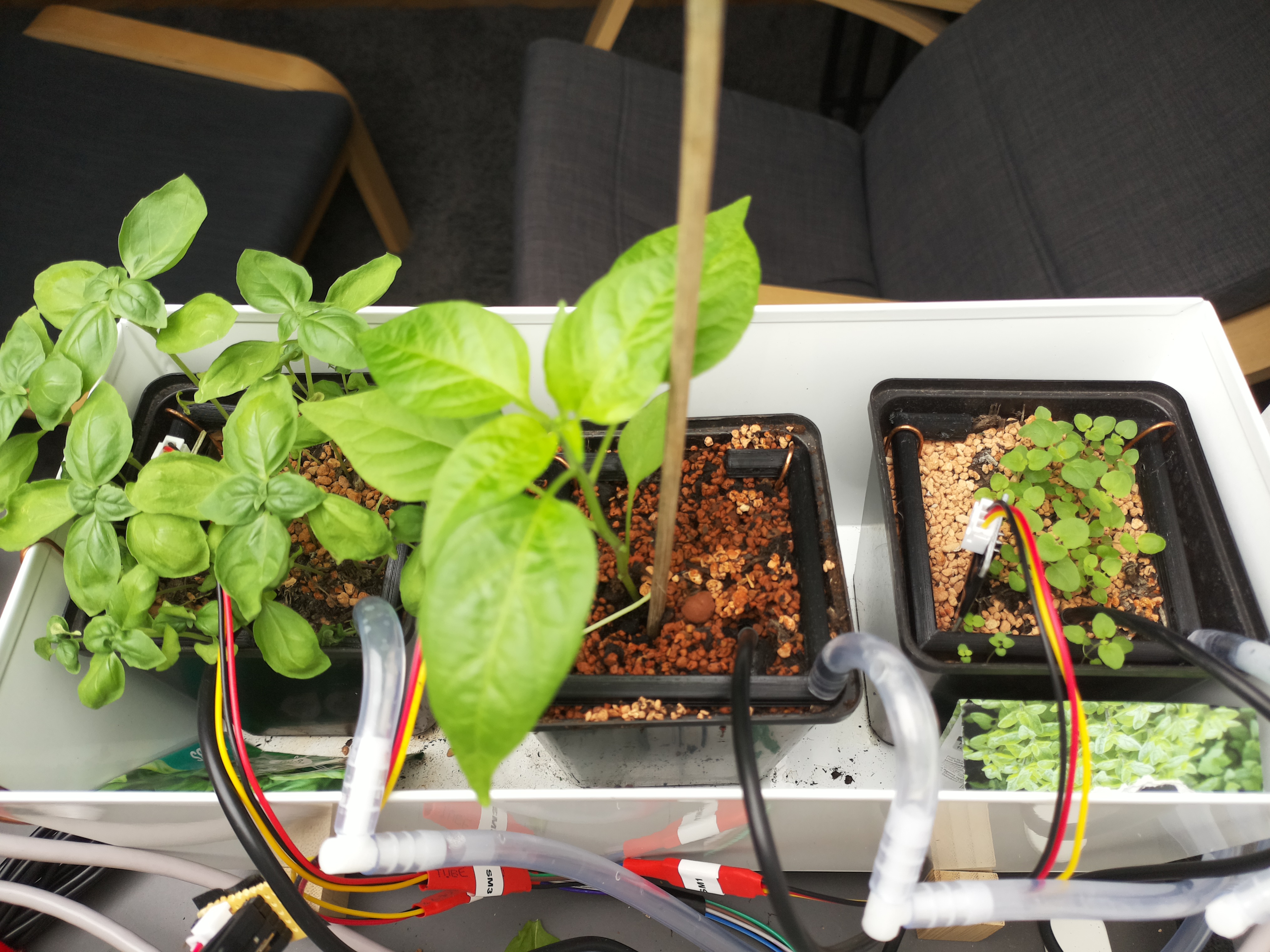 Timelapse image for April 15, 2026