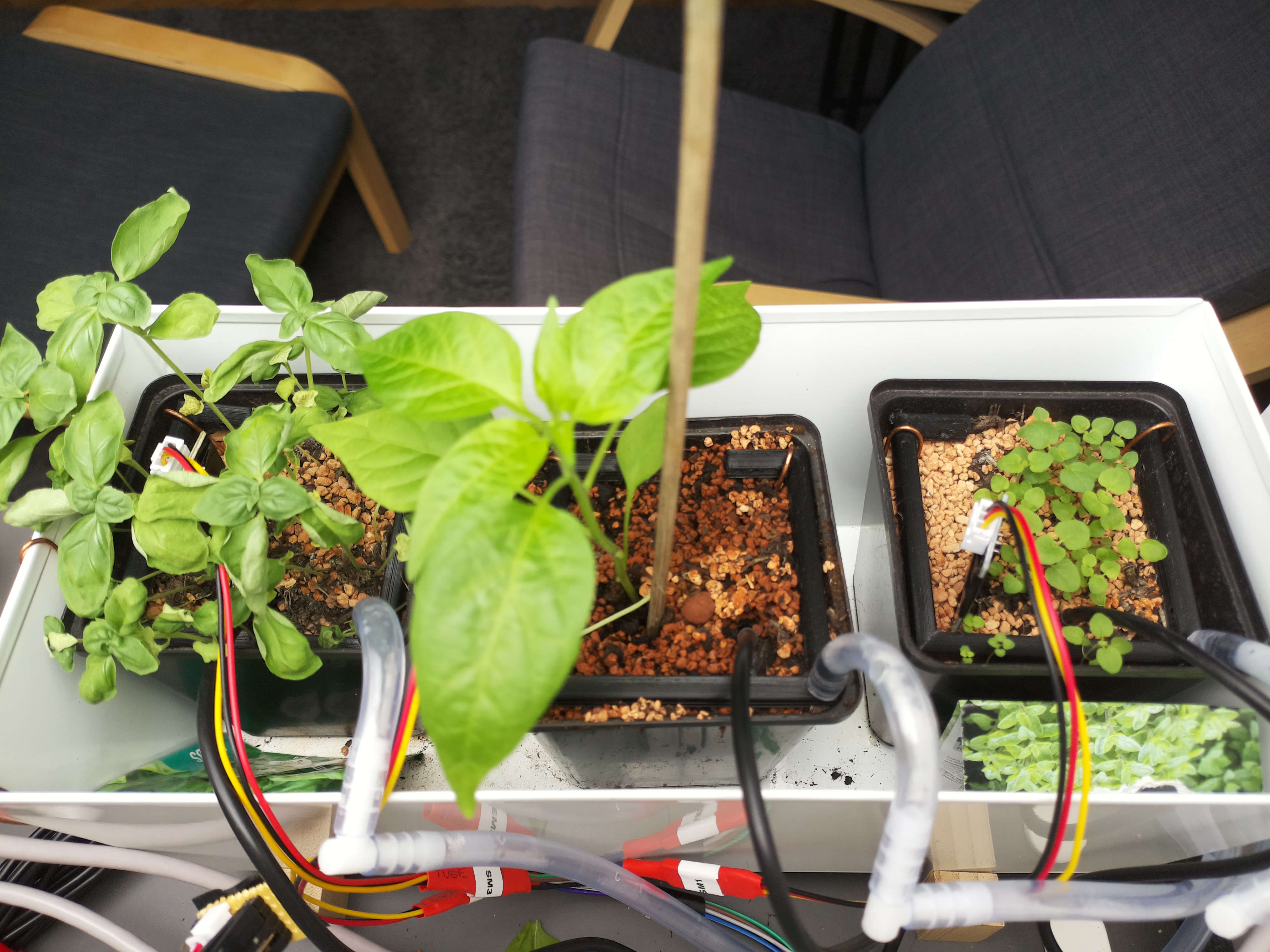 Timelapse image for April 15, 2026