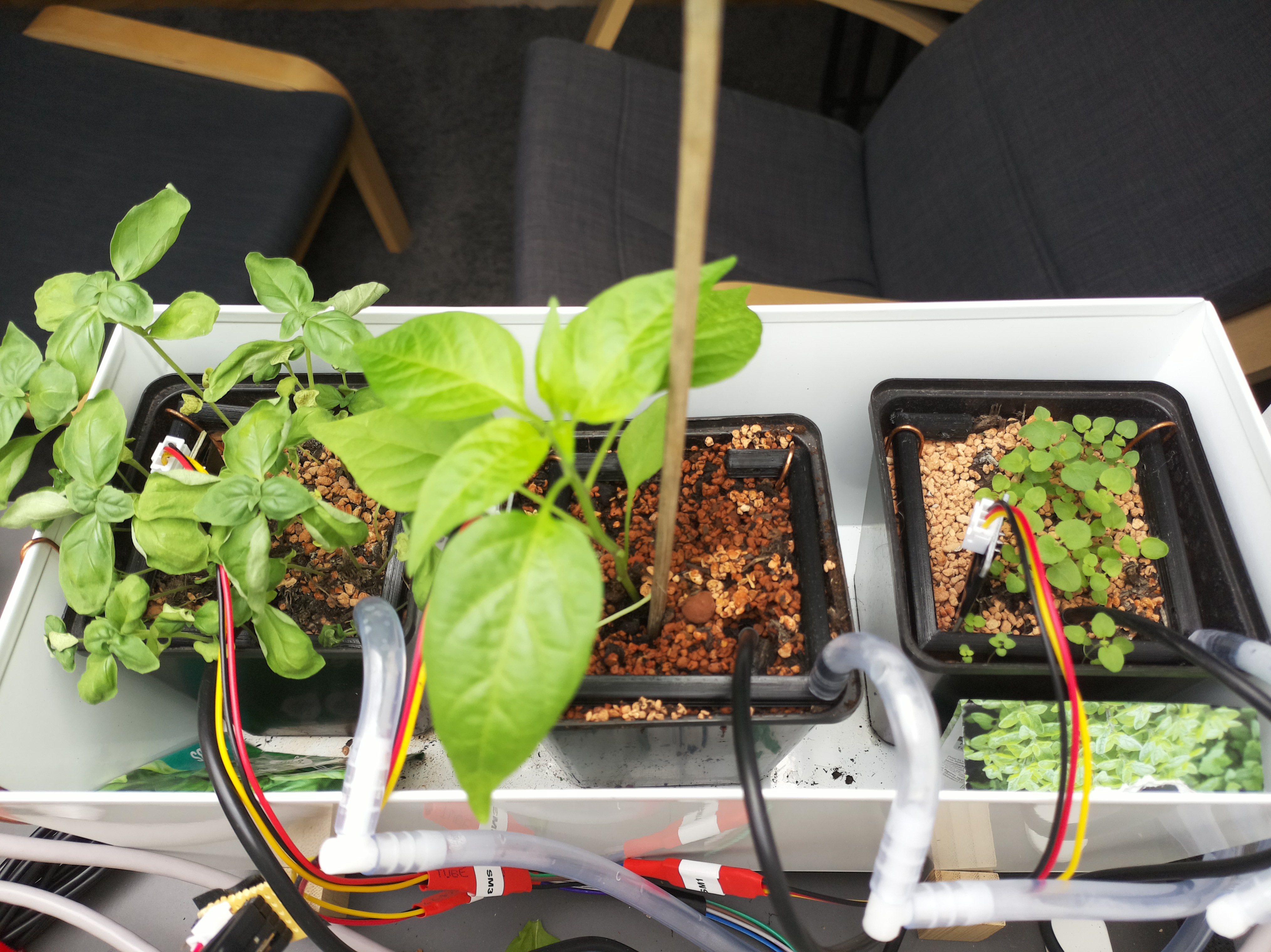 Timelapse image for April 15, 2026