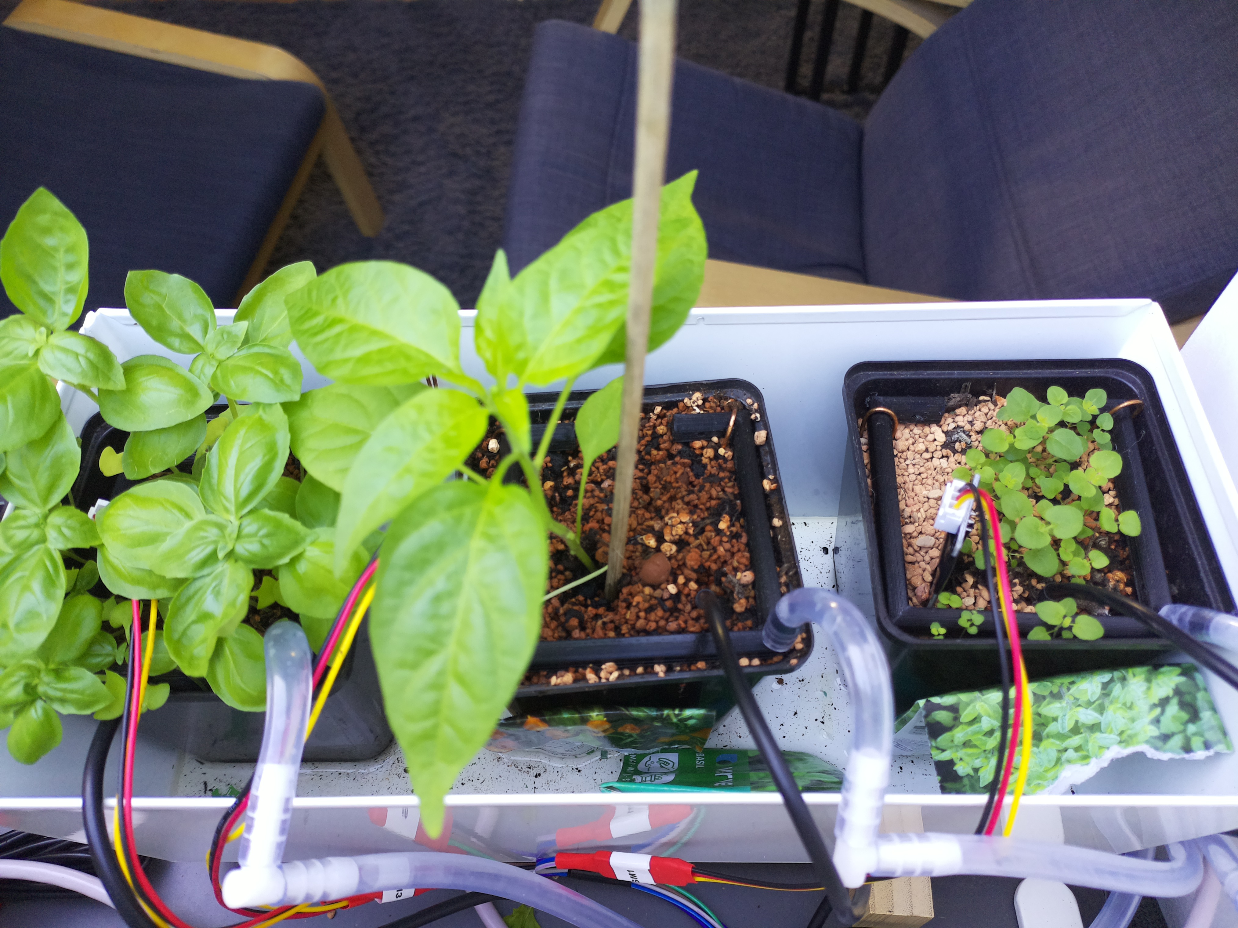 Timelapse image for April 16, 2026