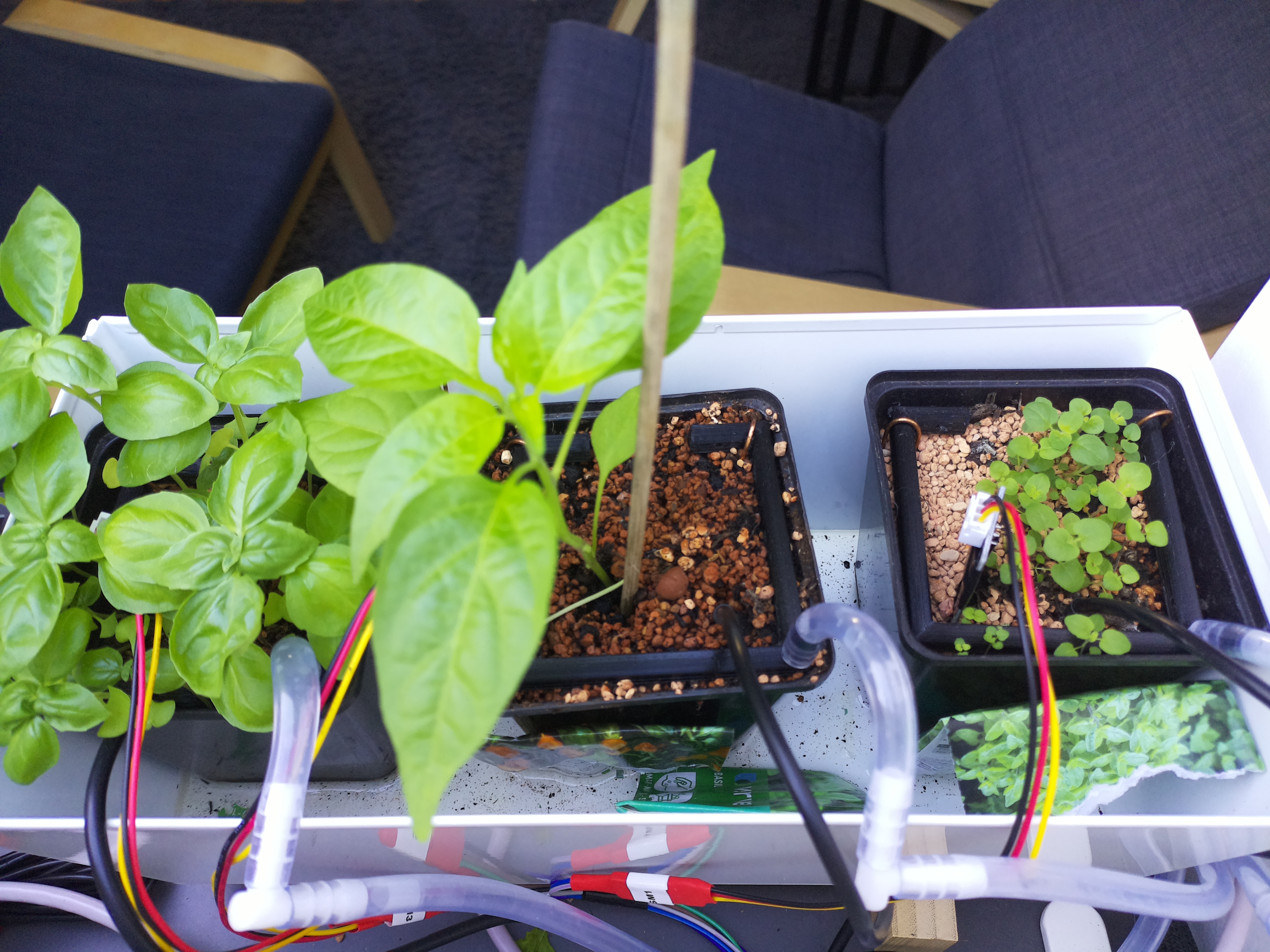 Timelapse image for April 16, 2026